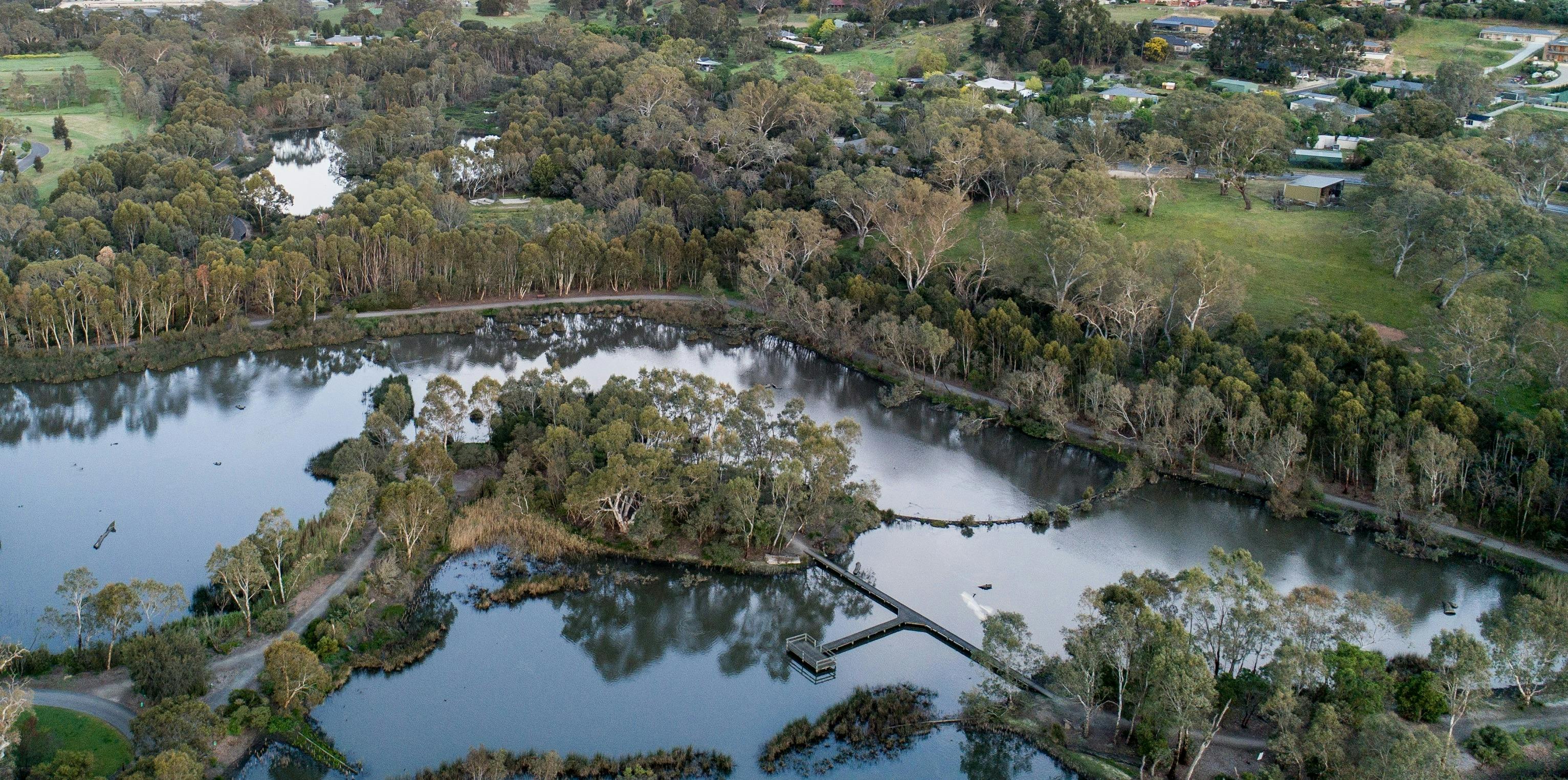 Aerial View of Laratinga Wetlands