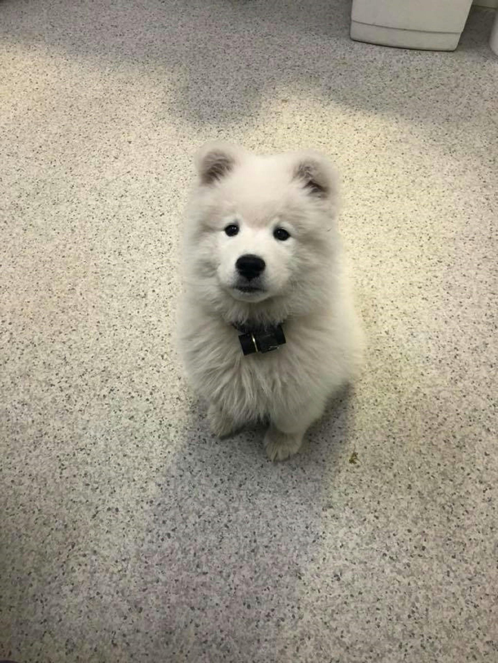 Everybody needs a friend like this one