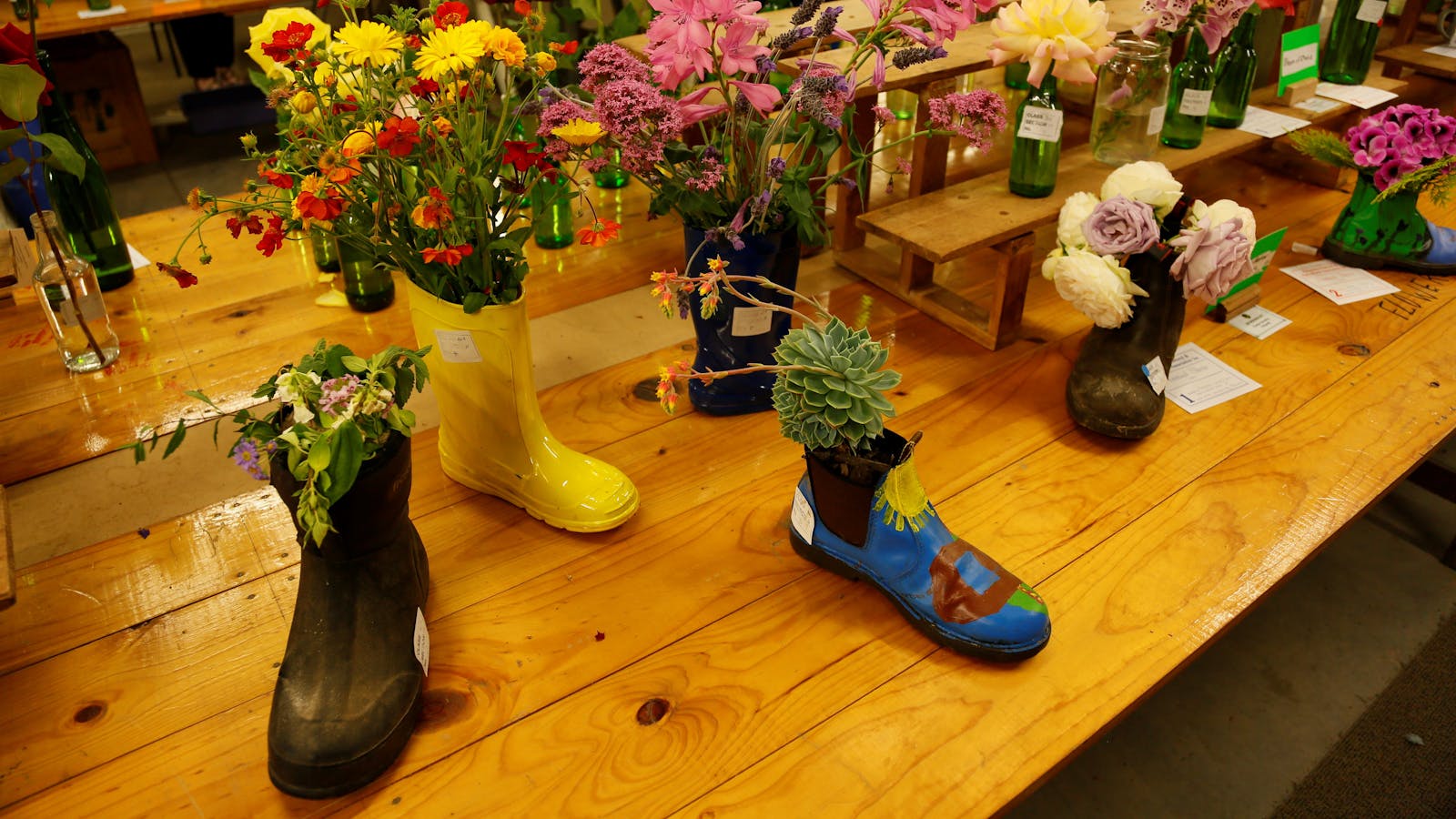Alexandra Annual Spring Show