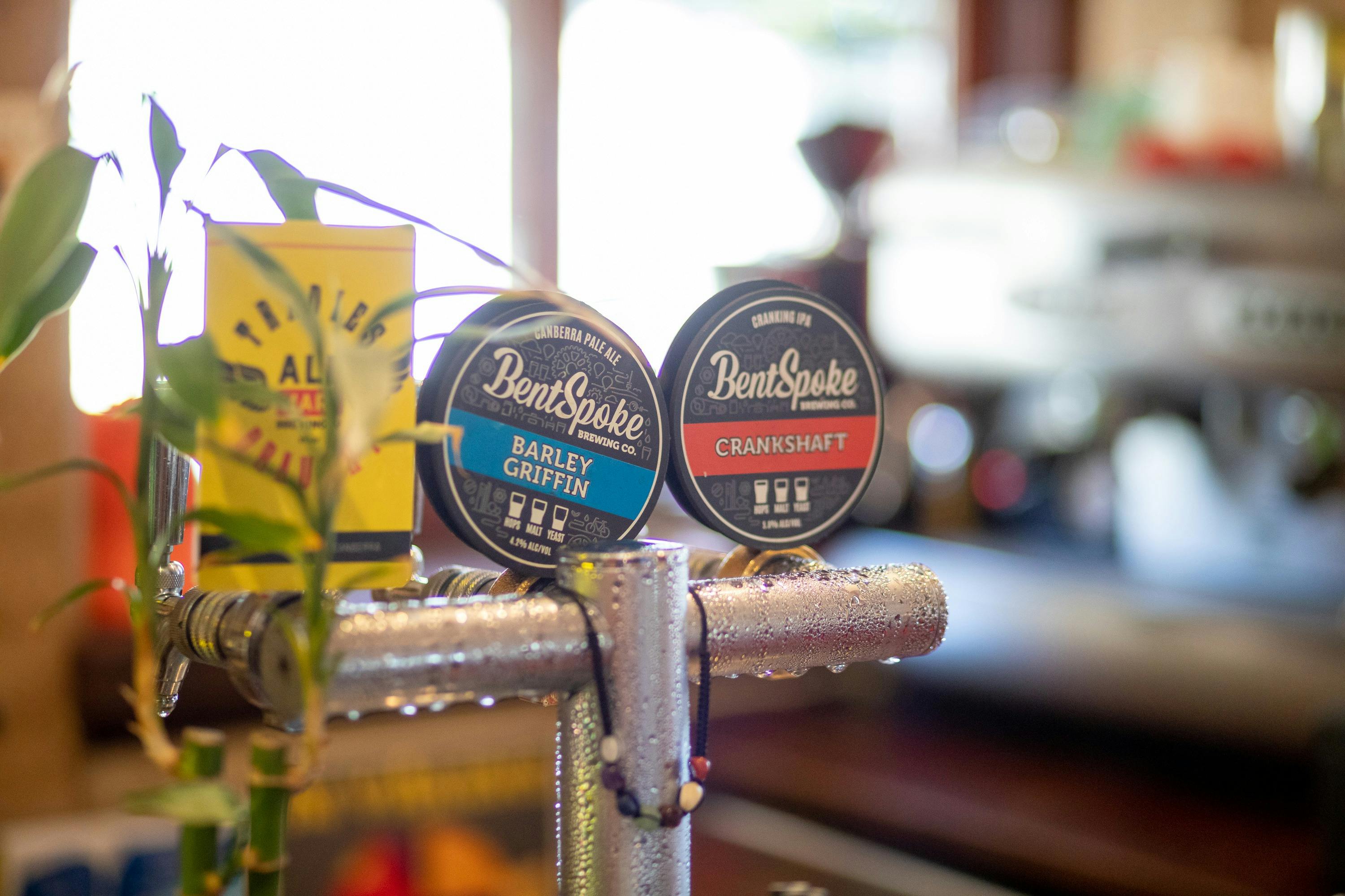 Smokey Horse Braidwood bar