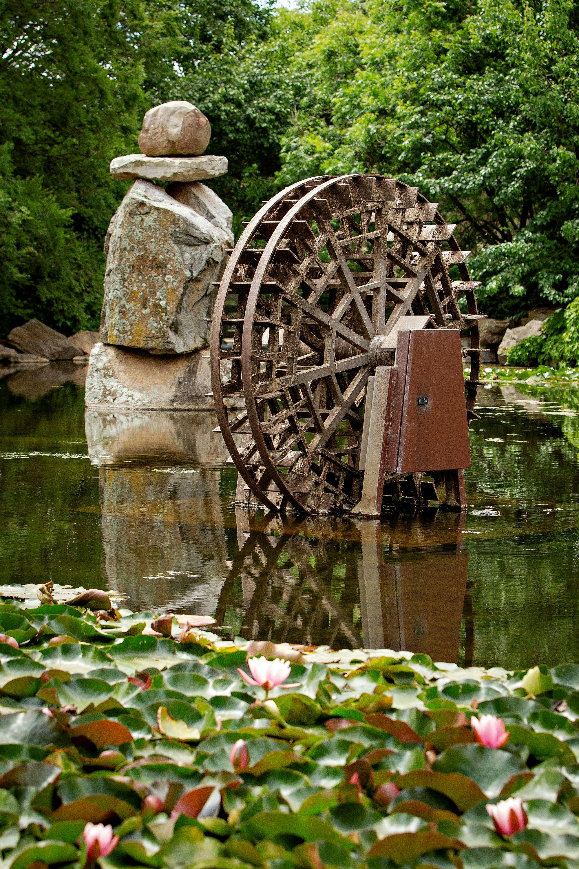 Timber wheel in the pond with lilies