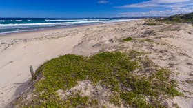 Cudmirrah Beach