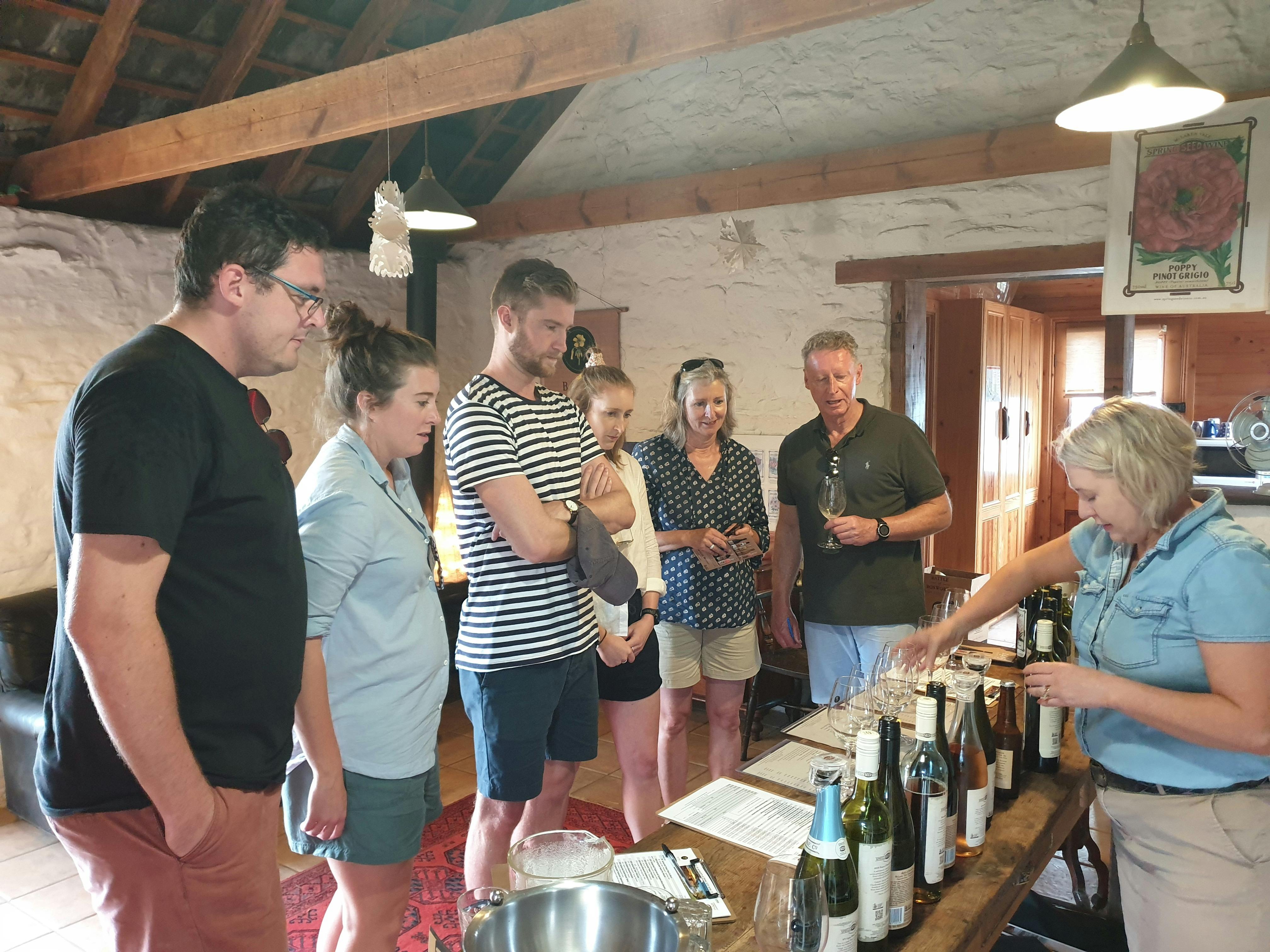 Wine tasting in McLaren Vale