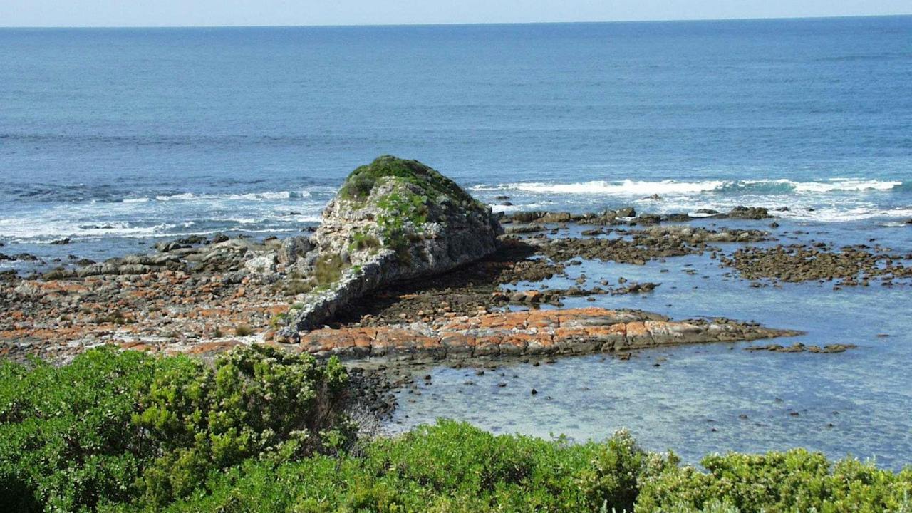 Tadpole Cove Walk