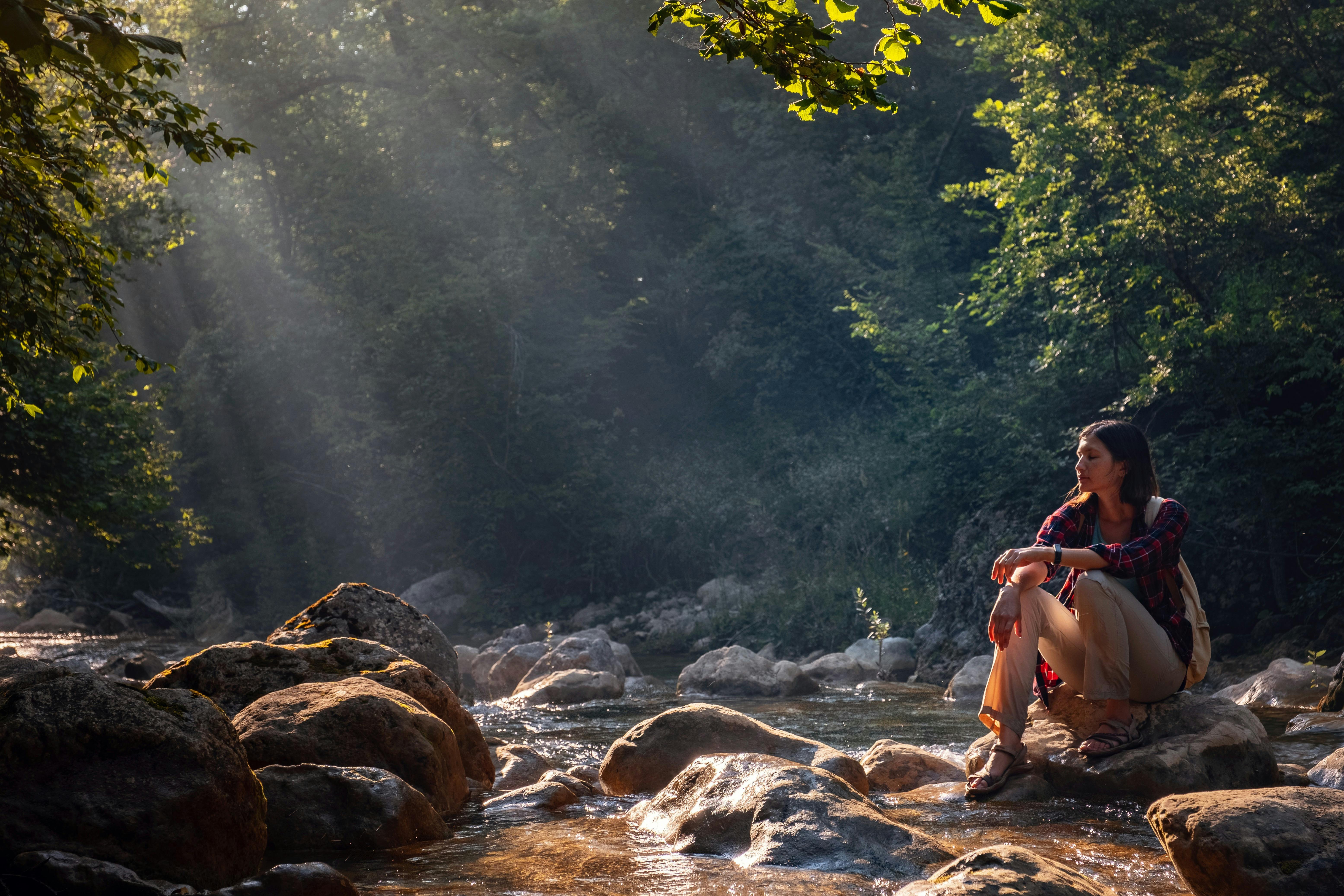 Discover Victoria's High Country with Mansfield Bushwalks