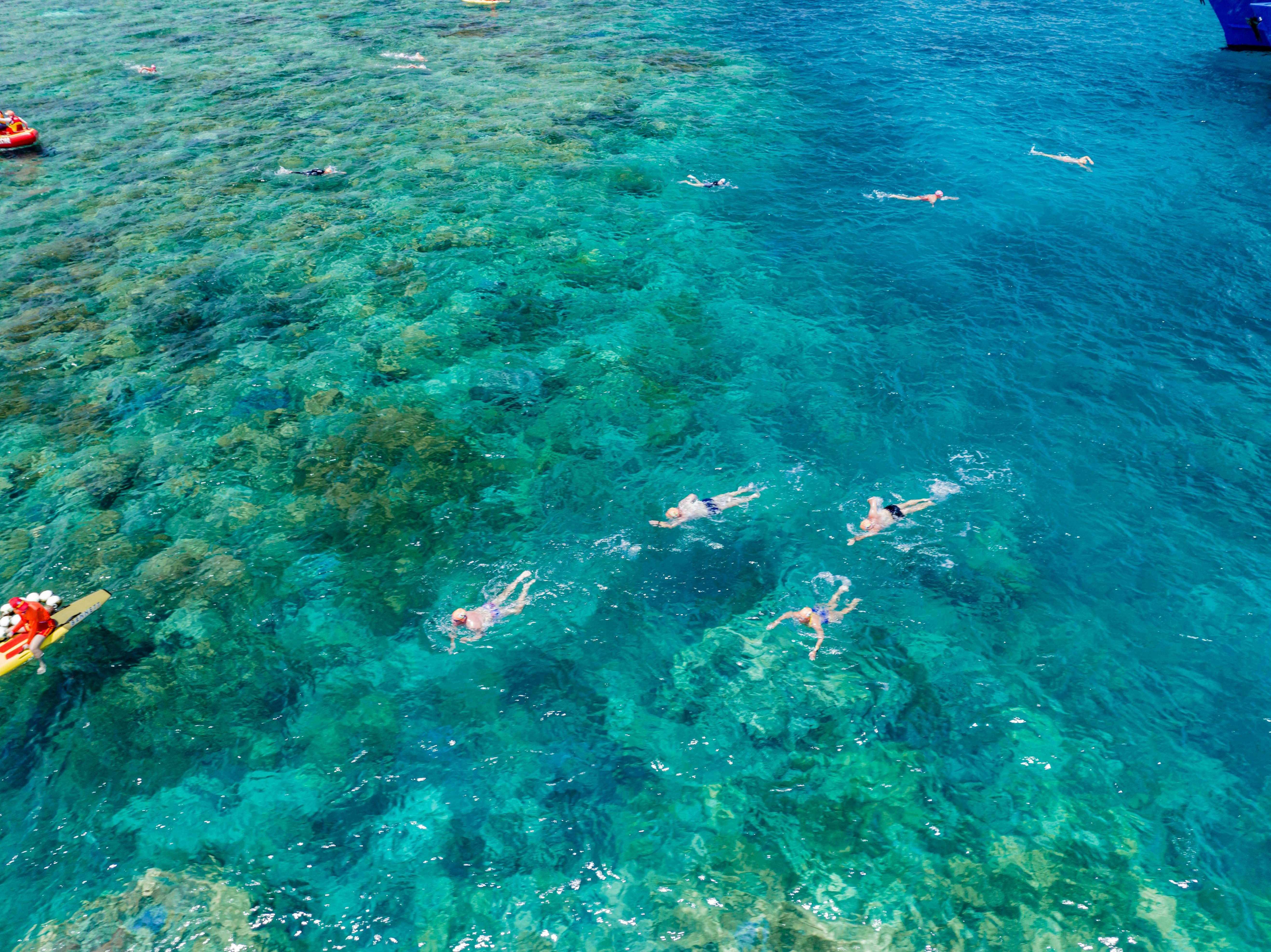 Great Barrier Reef Ocean Swim - Over Reef