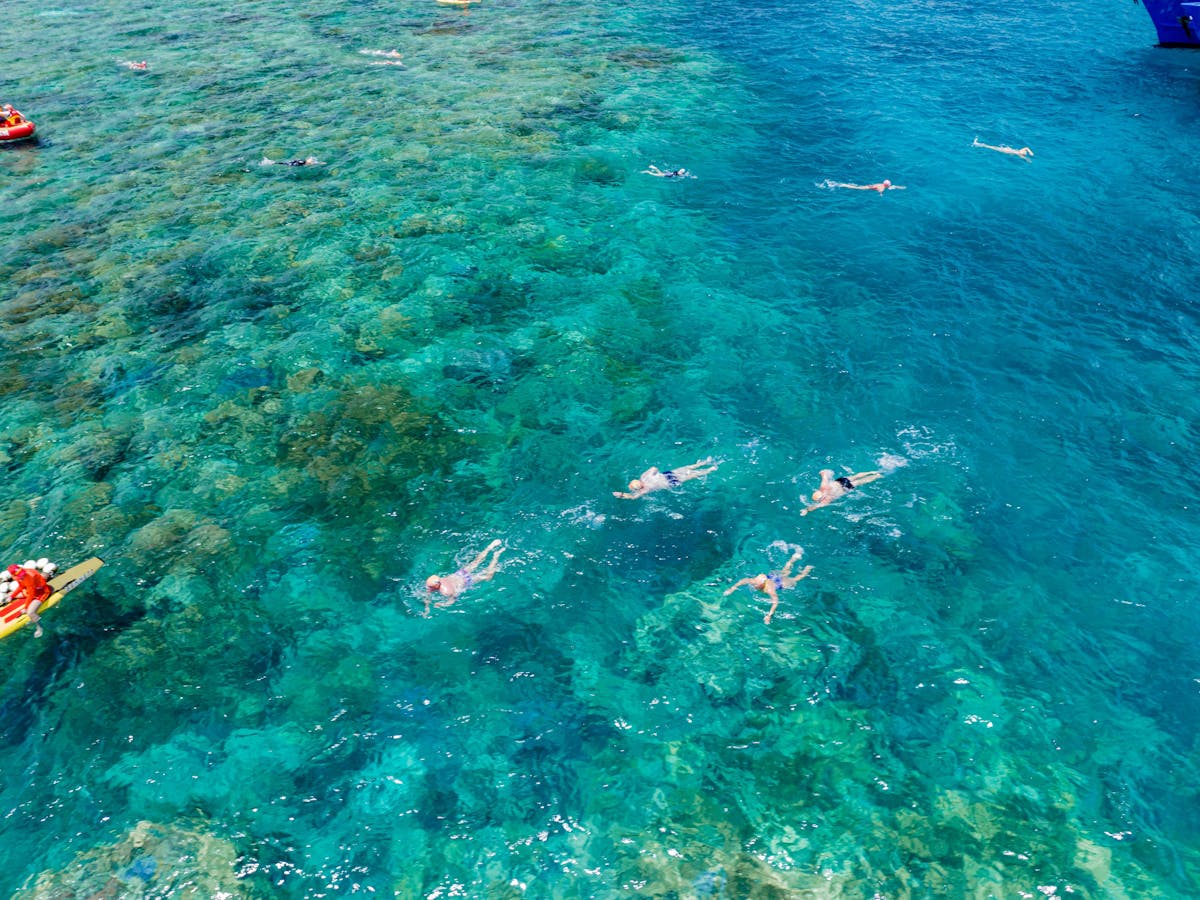 Great Barrier Reef Ocean Swim - Over Reef