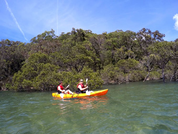 Basin kayak tour