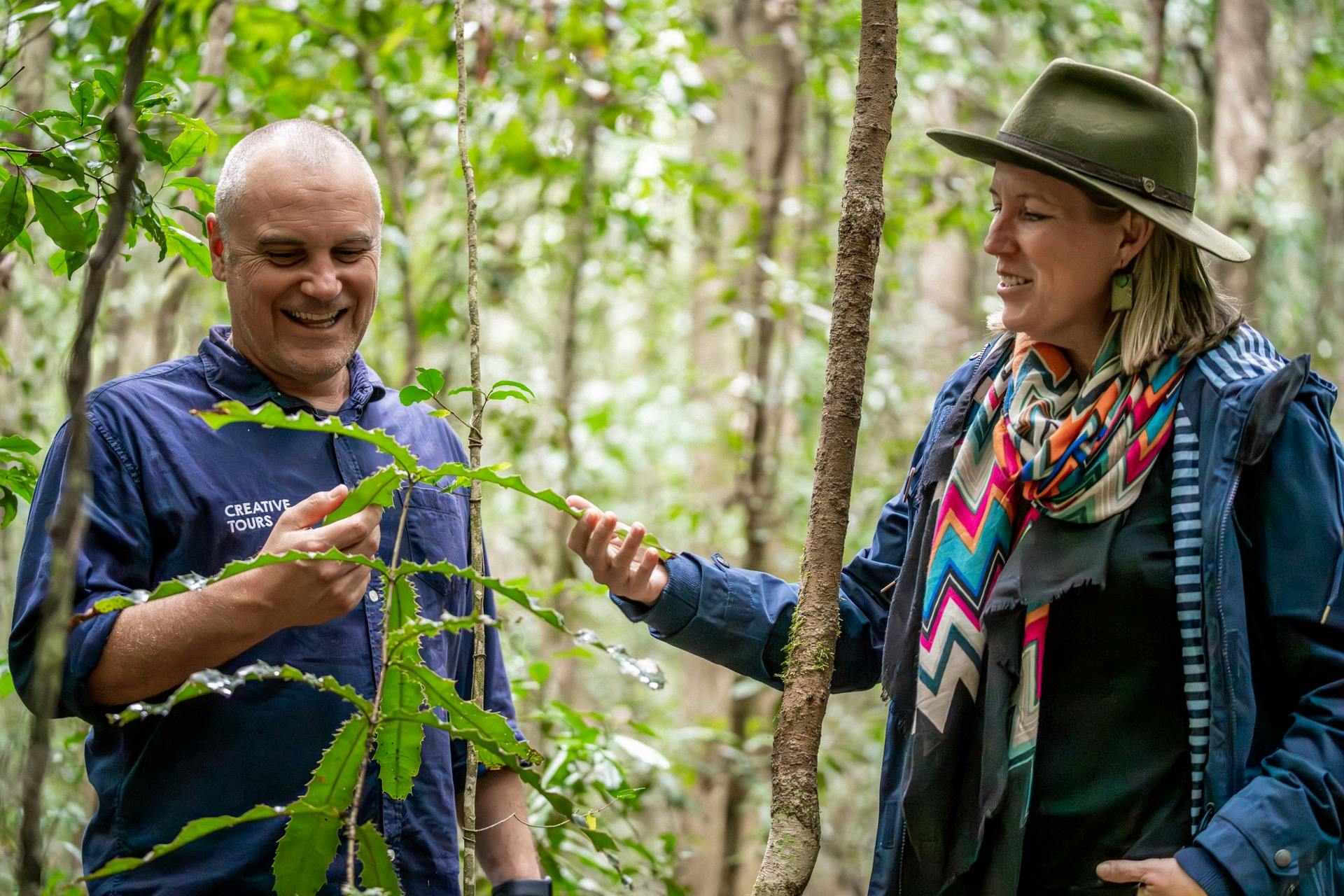Walking with Macadamias
