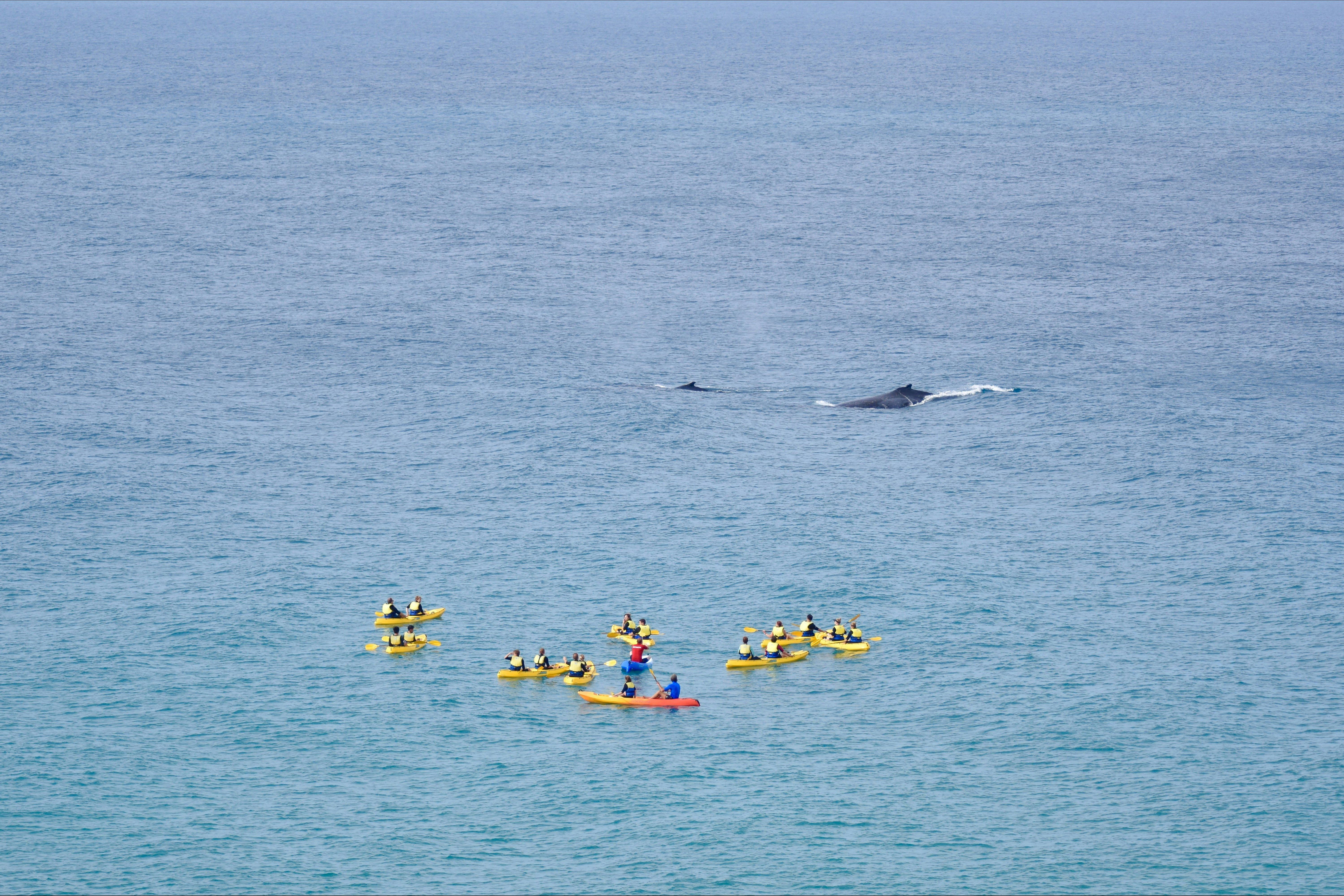 Noosa Private Double Island Point Wildlife 4X4 Adventure