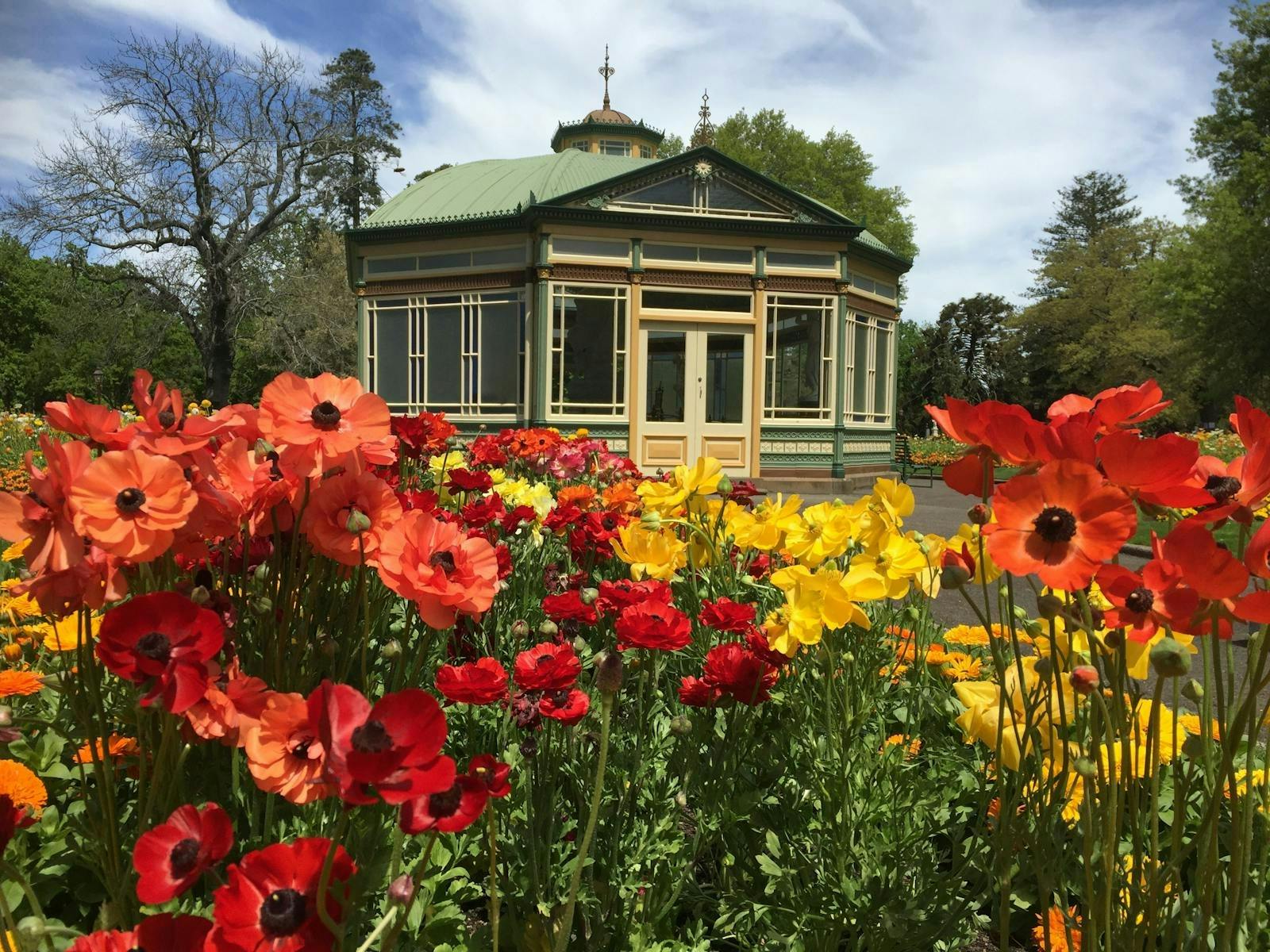 Where Your Health Grows with the Friends of Ballarat Botanical Gardens