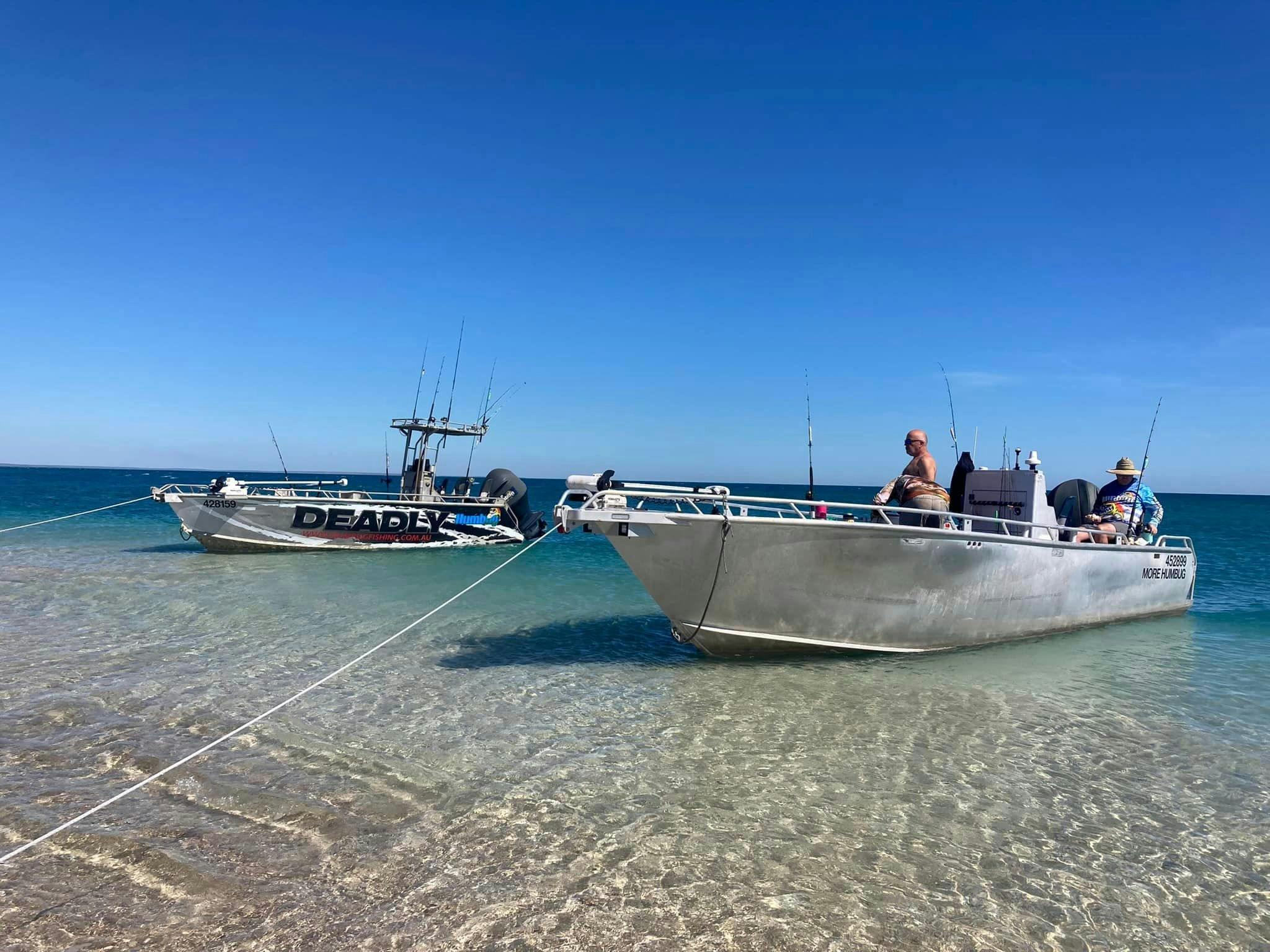 tender boats