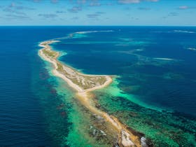 Abrolhos Islands & Batavia Shipwreck Half Day Tour with Pink Lake add-on From Geraldton