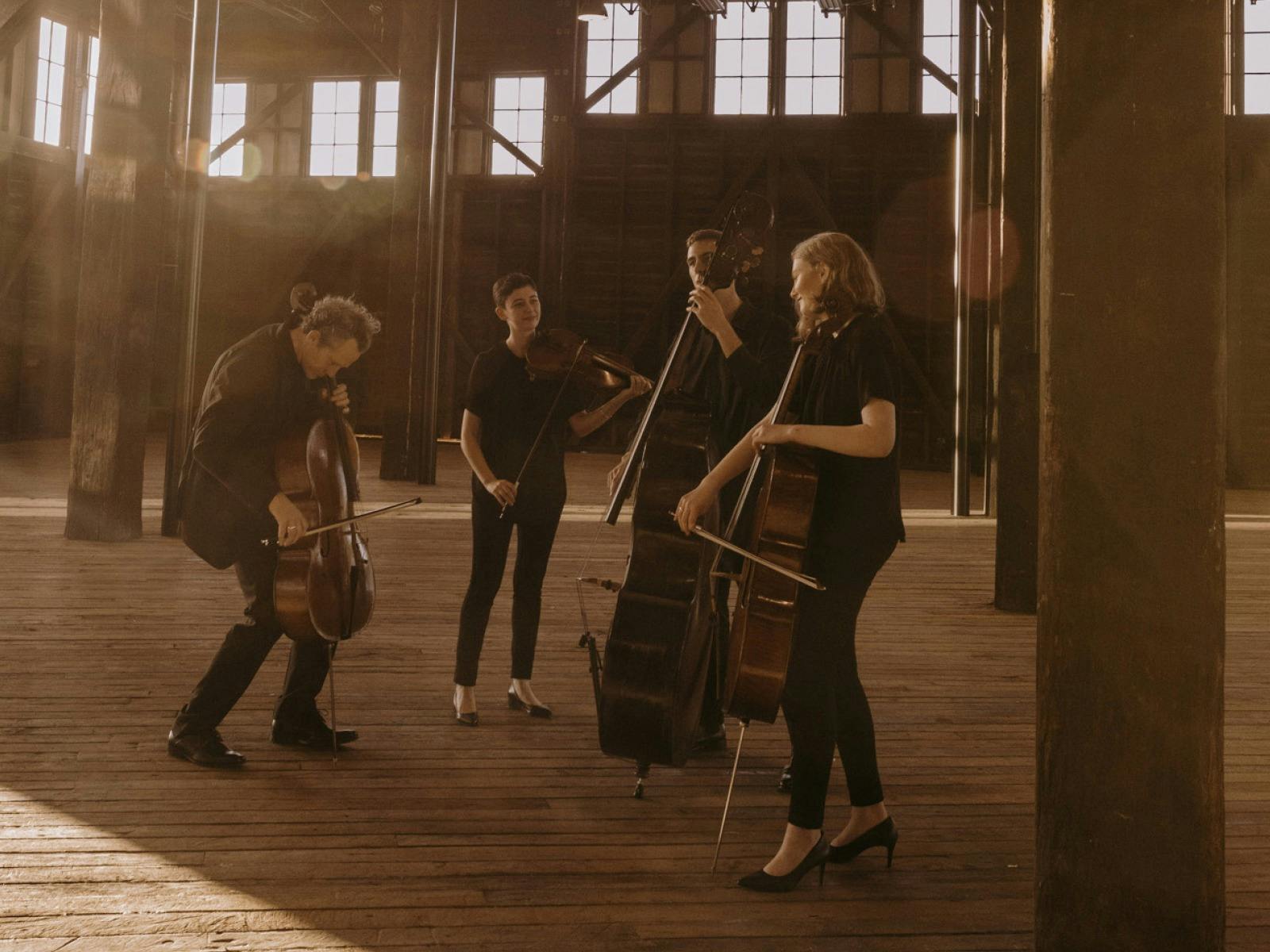 A Morning with the ACO Collective Quartet