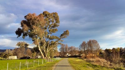 Adelong Falls Walk looking back towards town