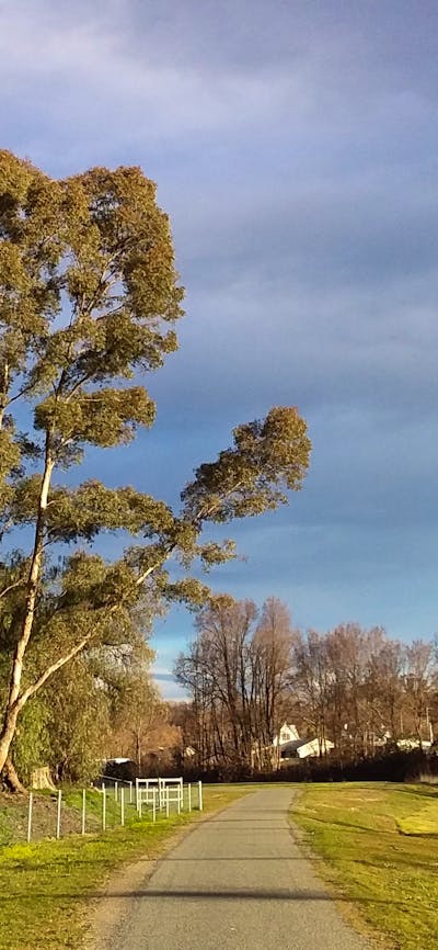 Adelong Falls Walk looking back towards town
