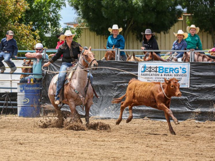 Echuca Pro Rodeo