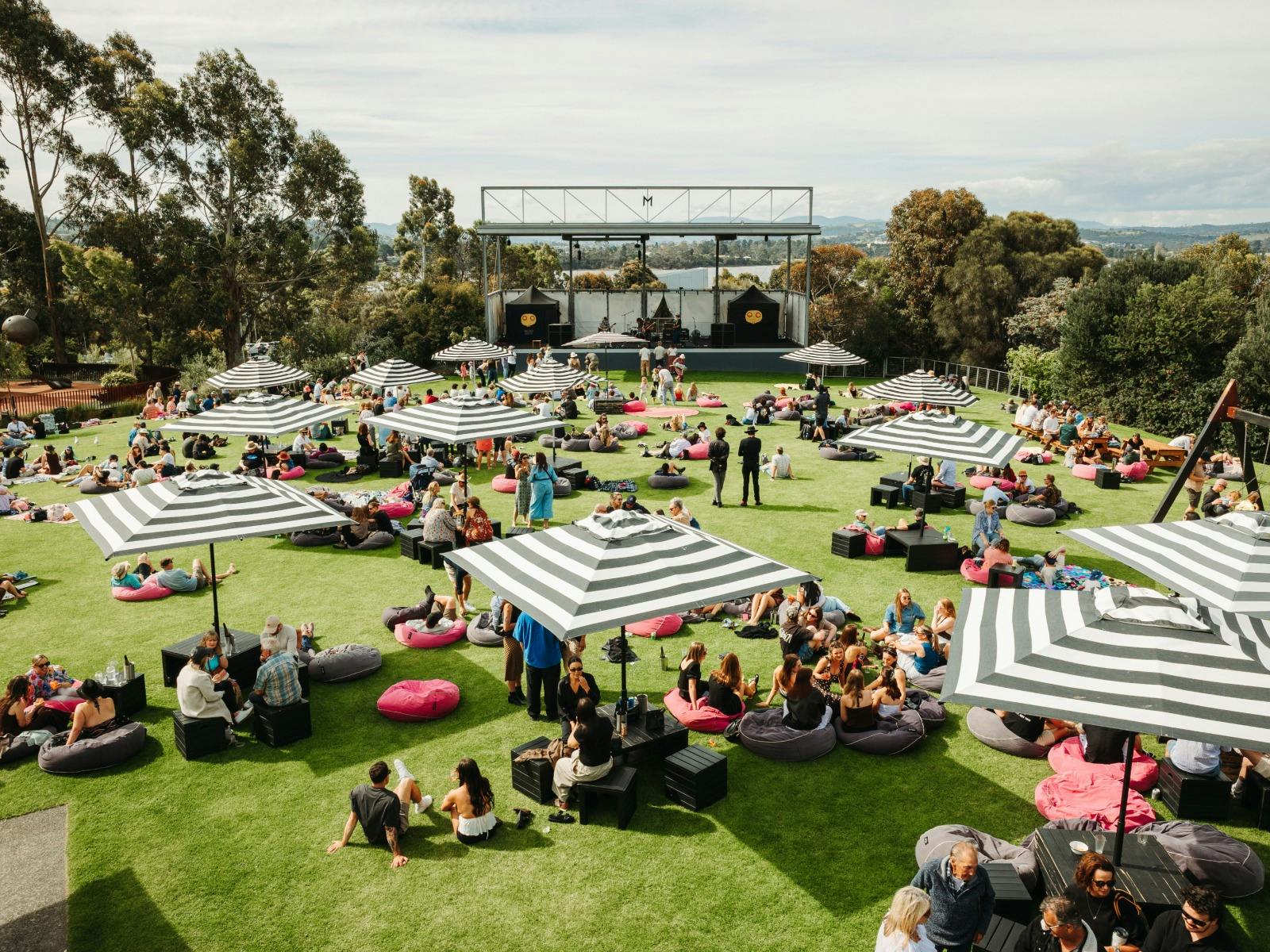Moo Brew Live on the Lawns