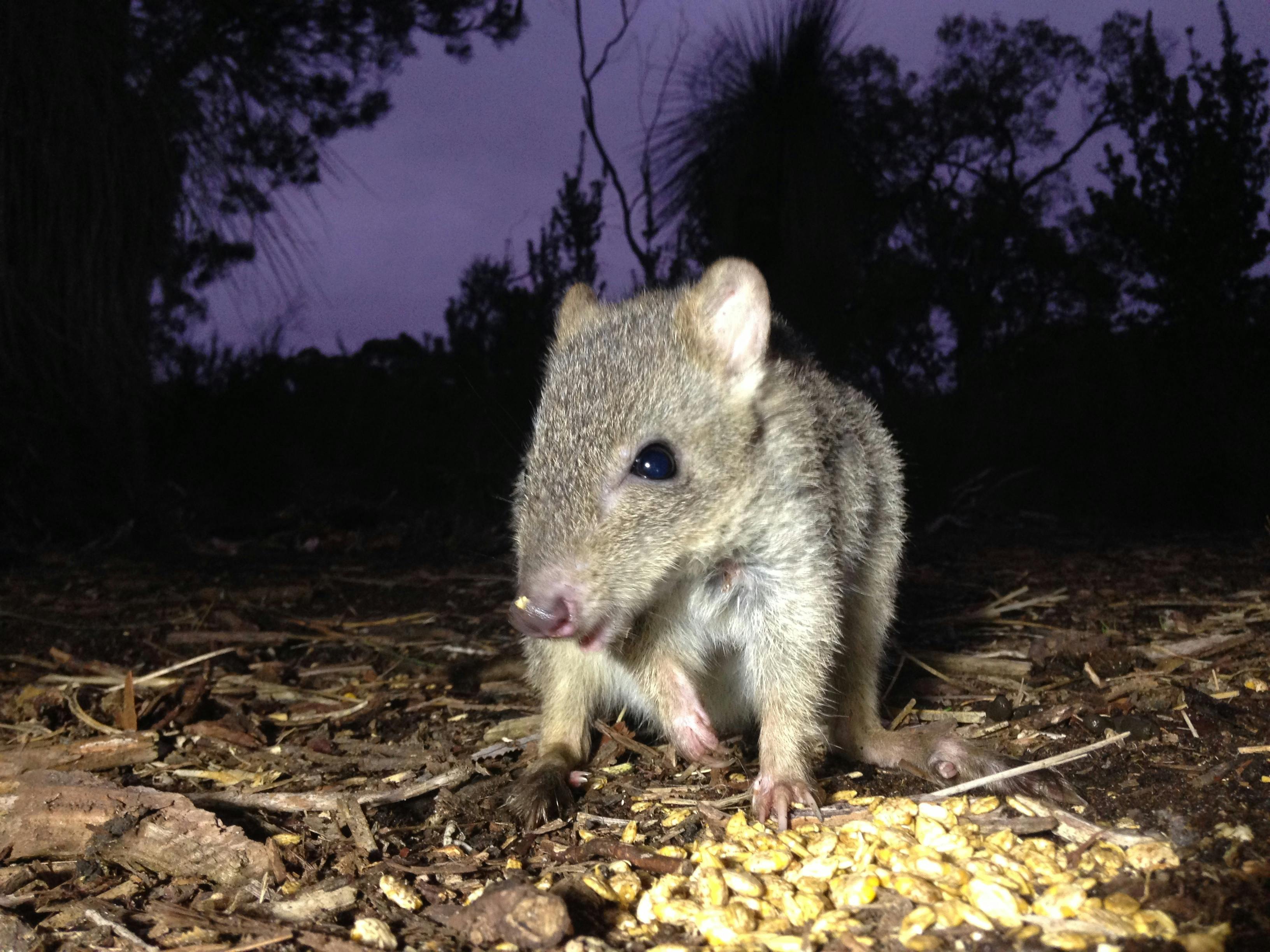 South West Eco Discoveries, Abbey, Western Australia