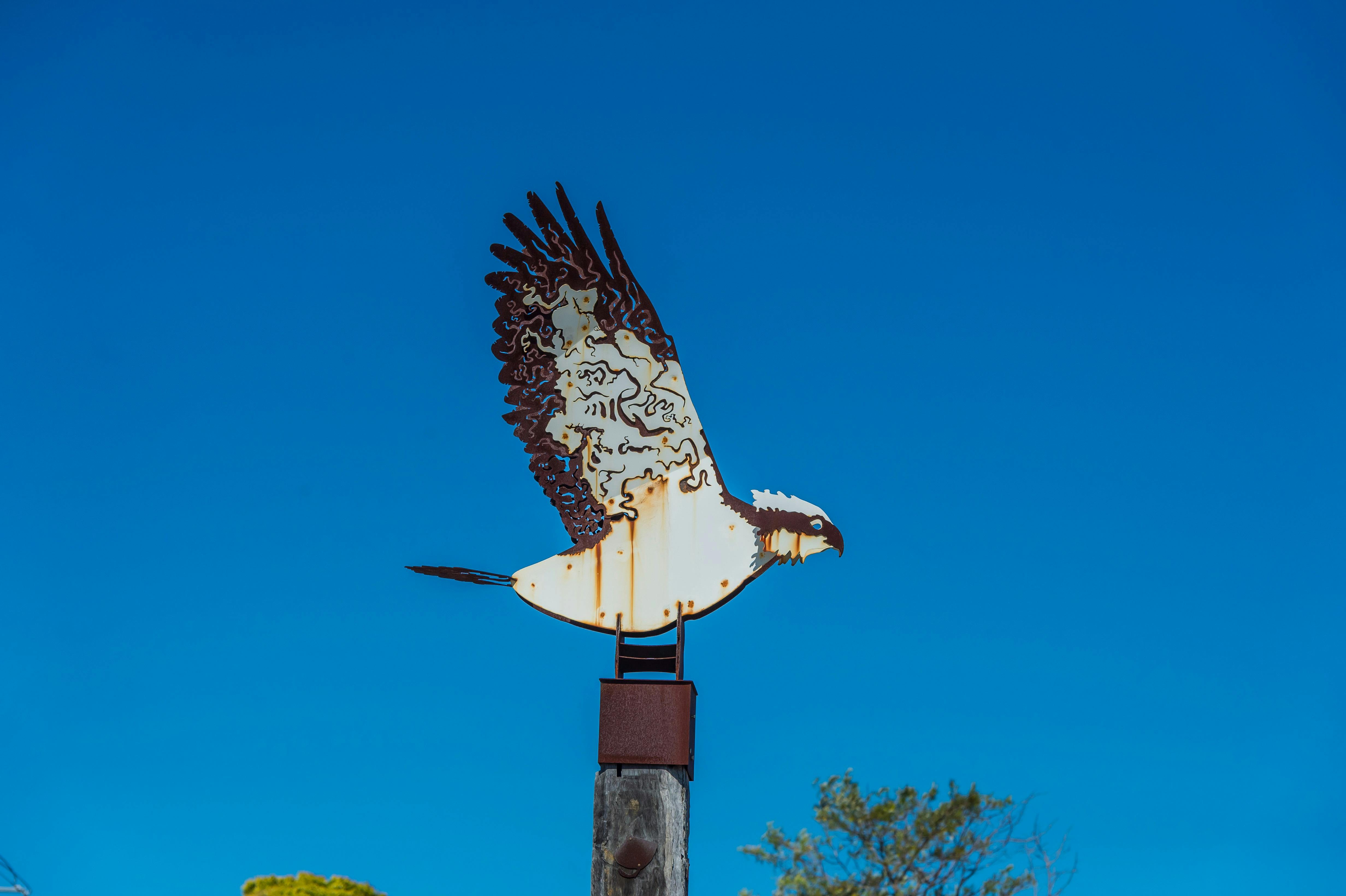 Ballina Public Art - Homeward Currents Osprey