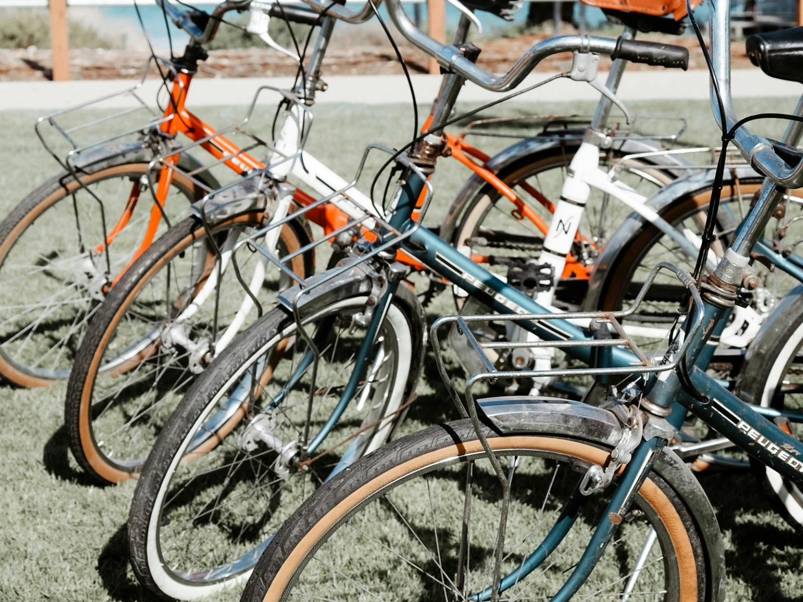 guided bike tours enliven outdoor adventures normanville fleurieu peninsula south australia