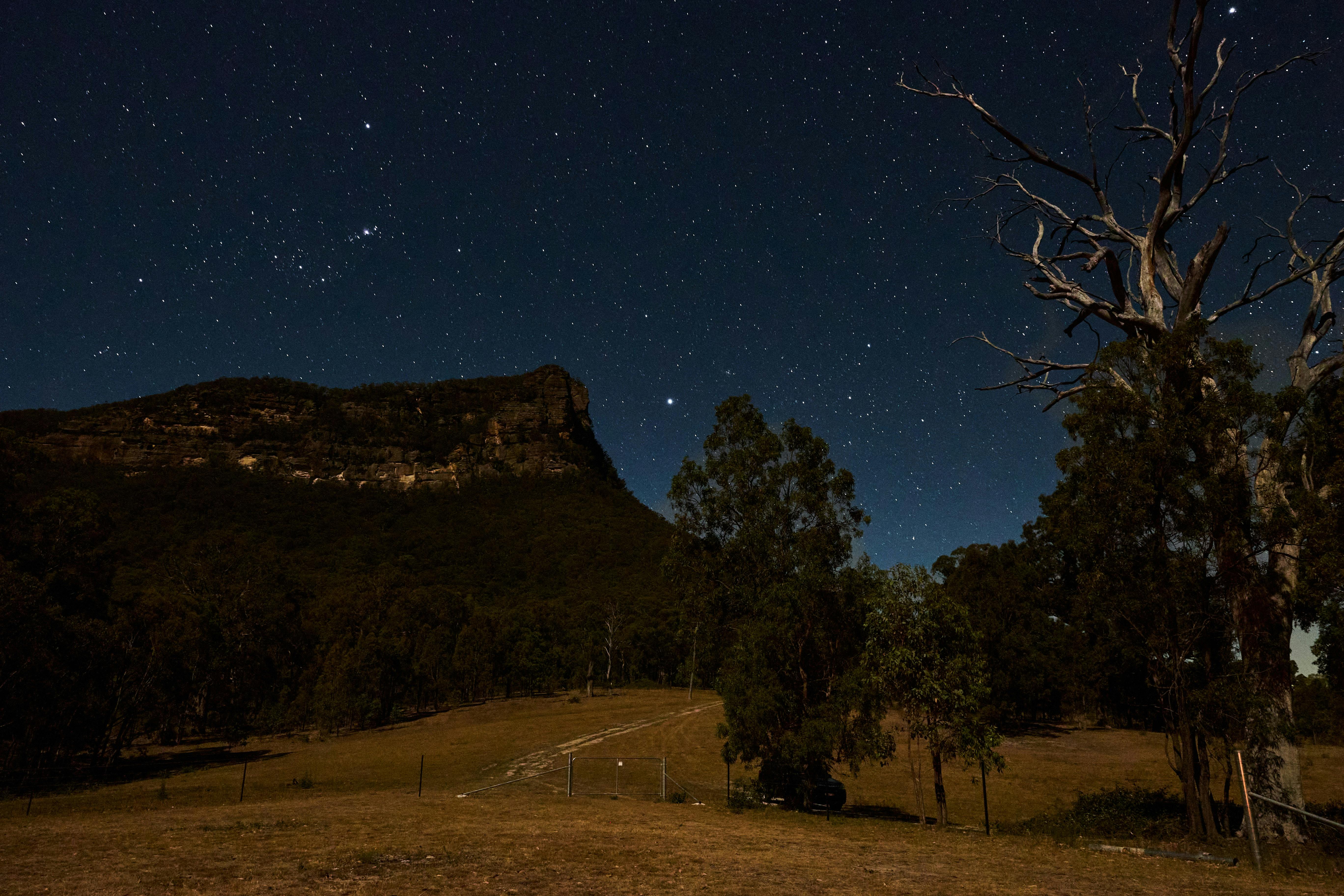 Yutori - Yutori 的夜晚