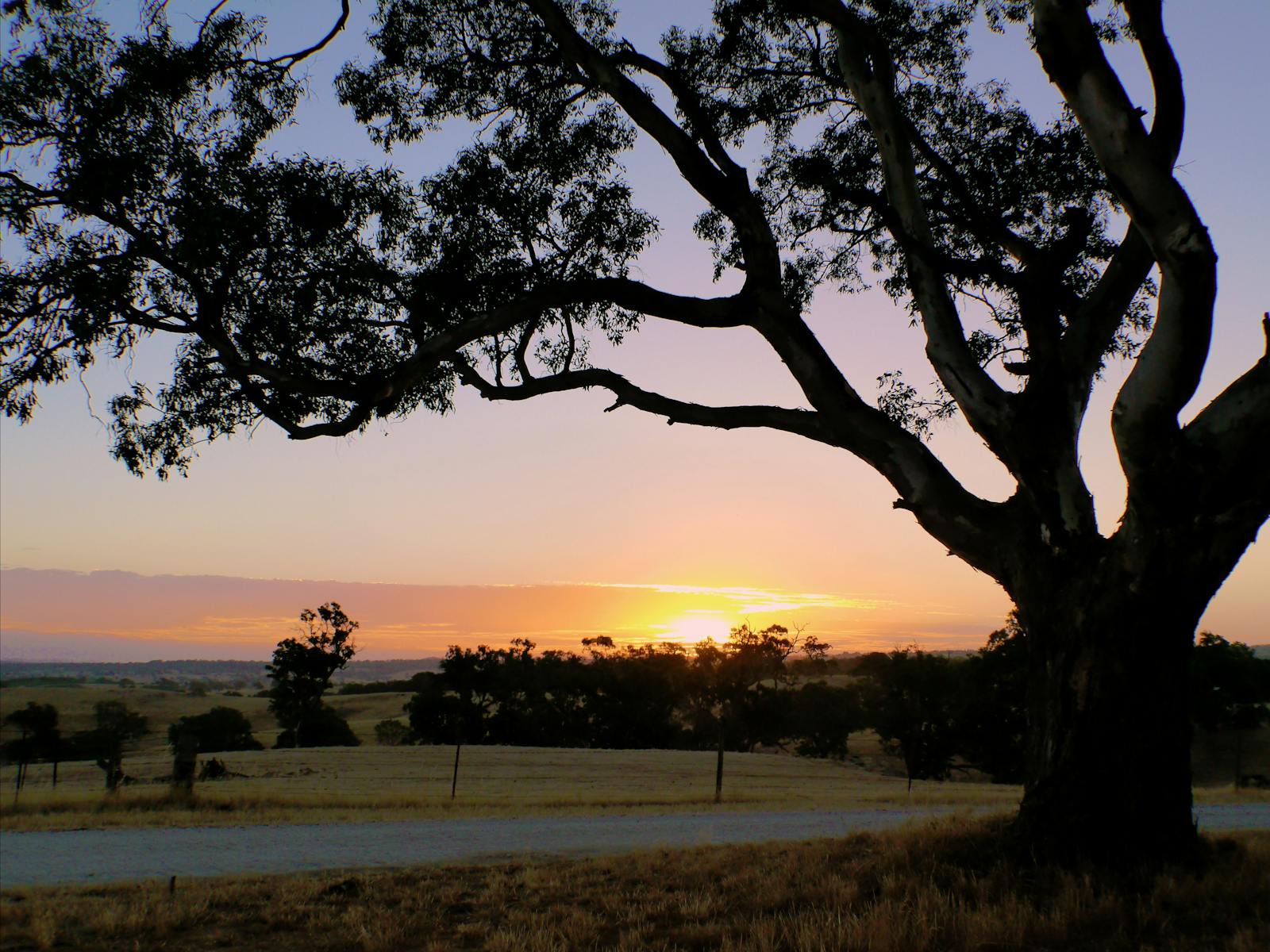 Eden Valley Lookout