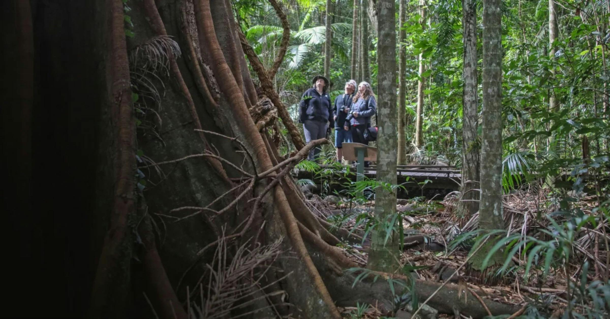 Vision Walks Eco Tours