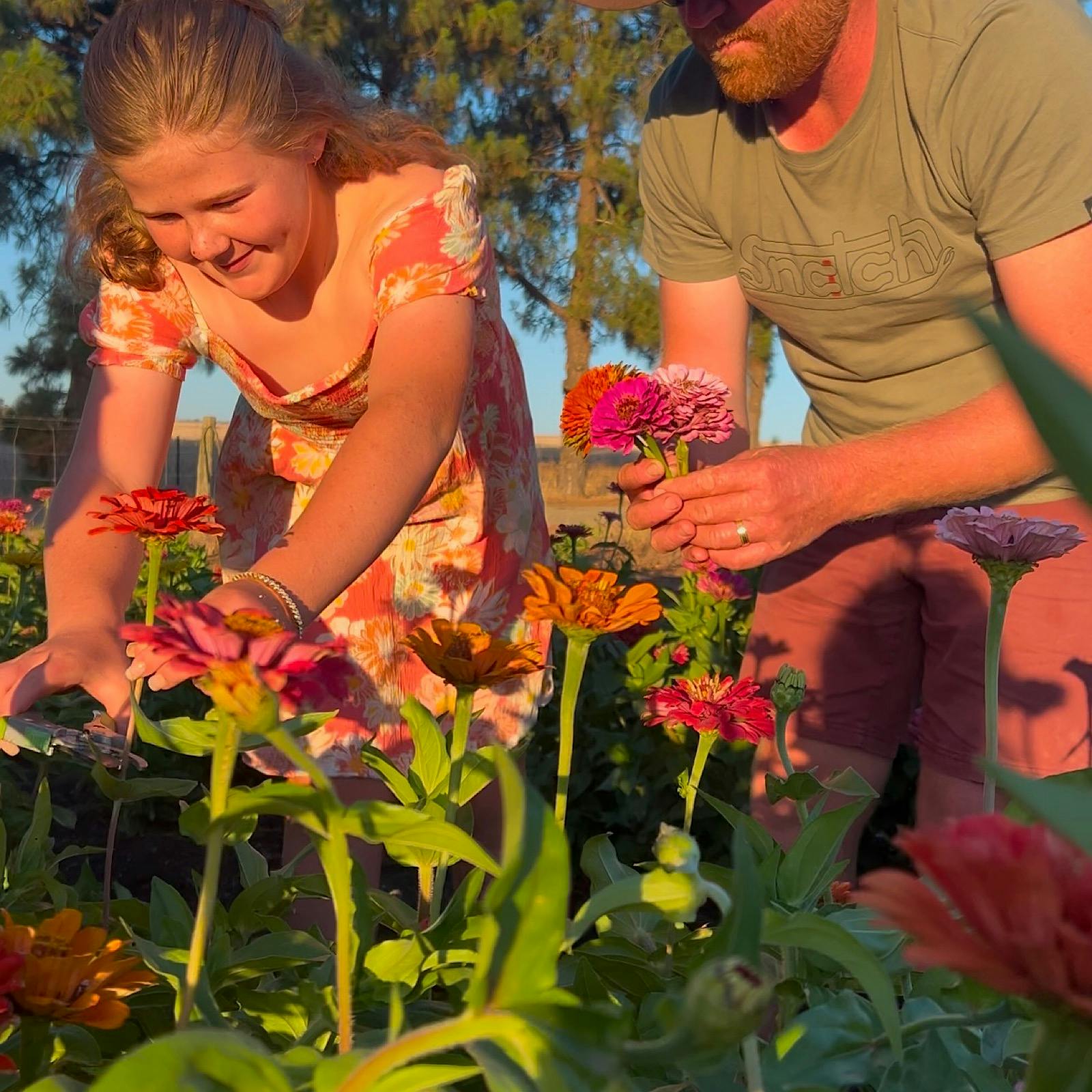 Pick Your Own Flowers at Shimmering Pines Farm