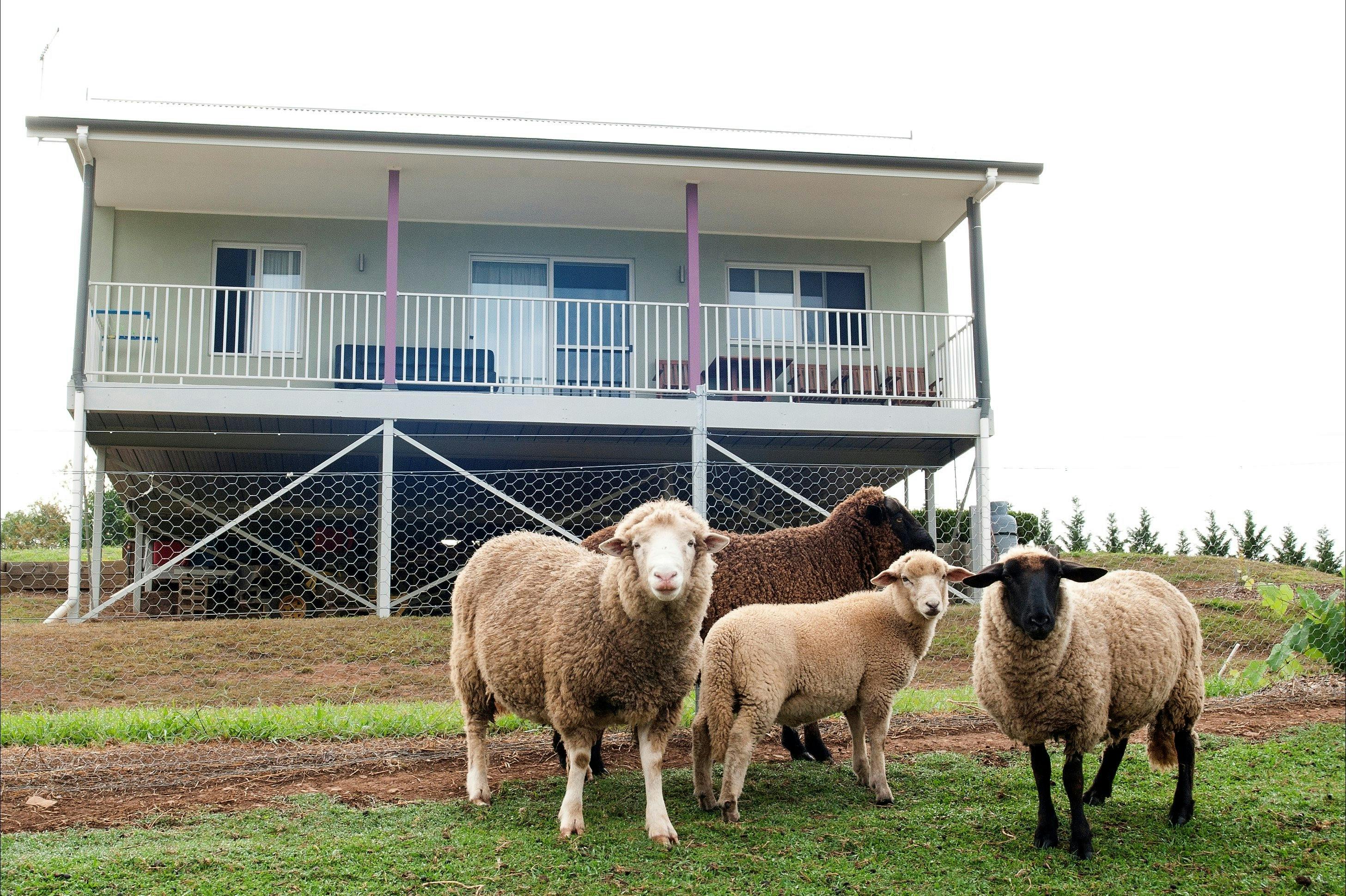 Your Experience with your accommodation