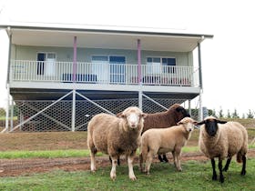 Highfields Country Cottages
