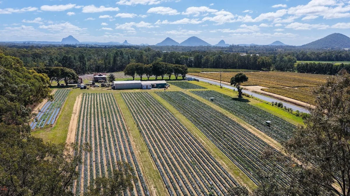 Drone photo of the farm with the surrounding landscape of mountains and pineapple farm