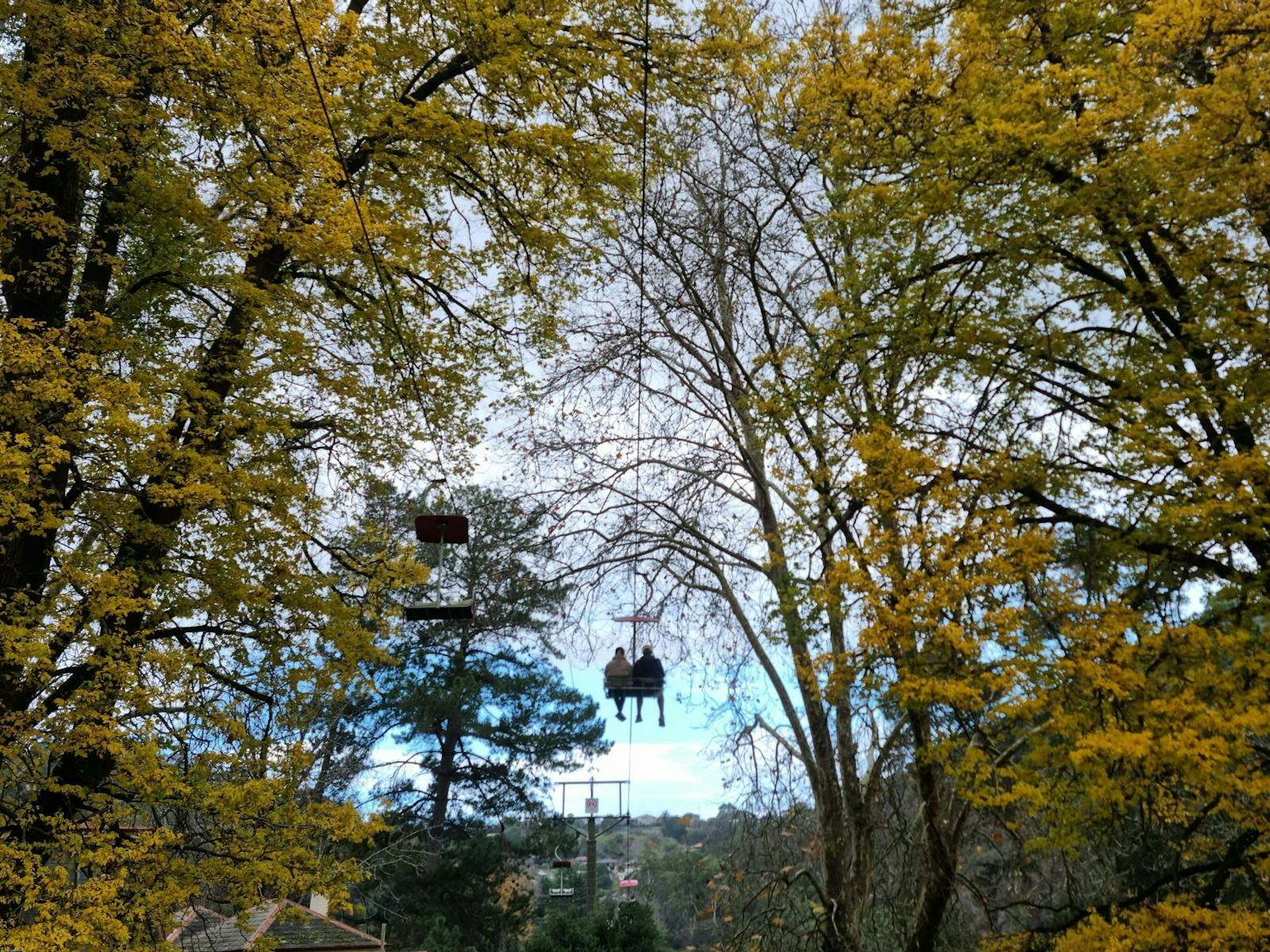 Beautiful Autumn days