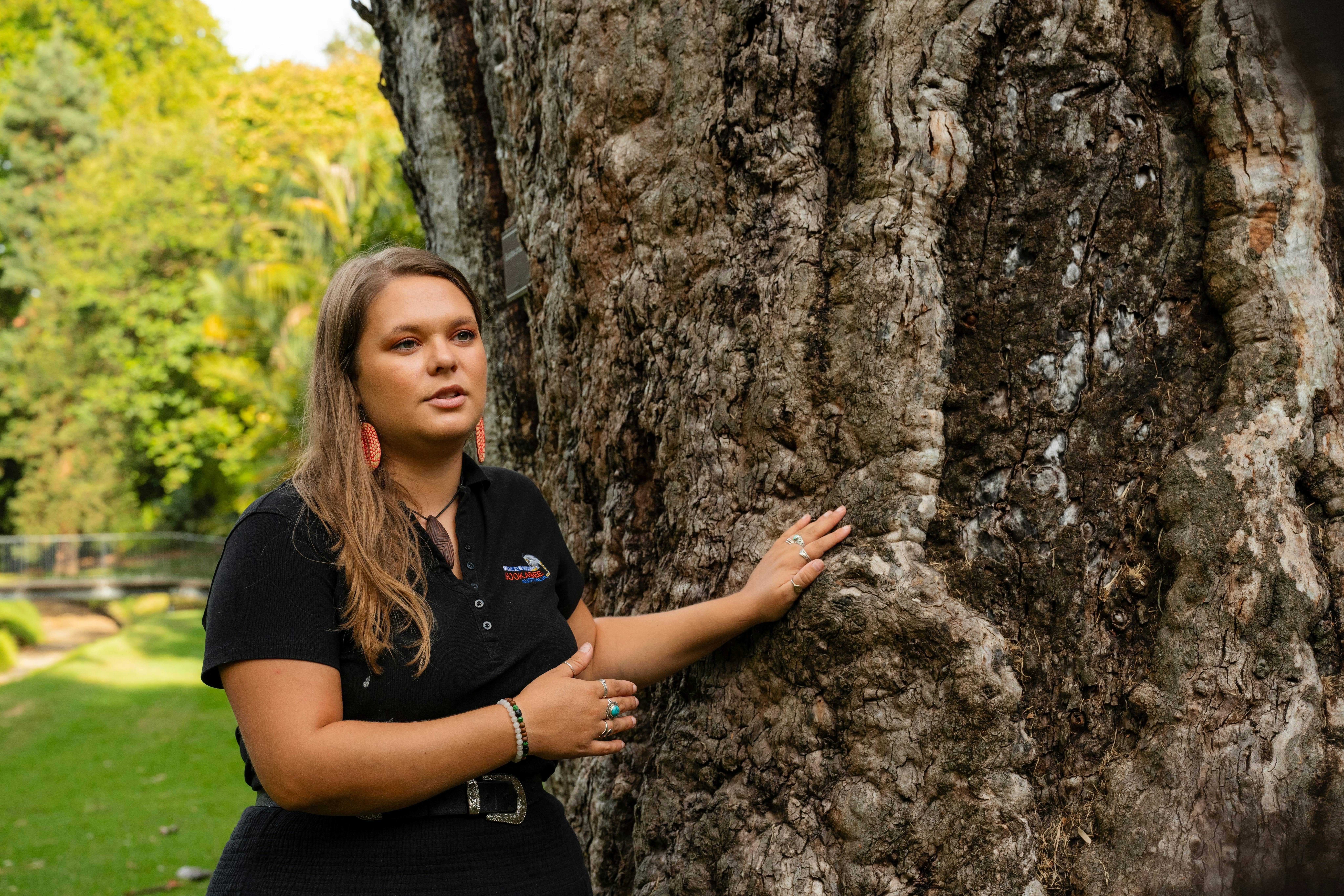 Iteka sharing information about a River Red Gum