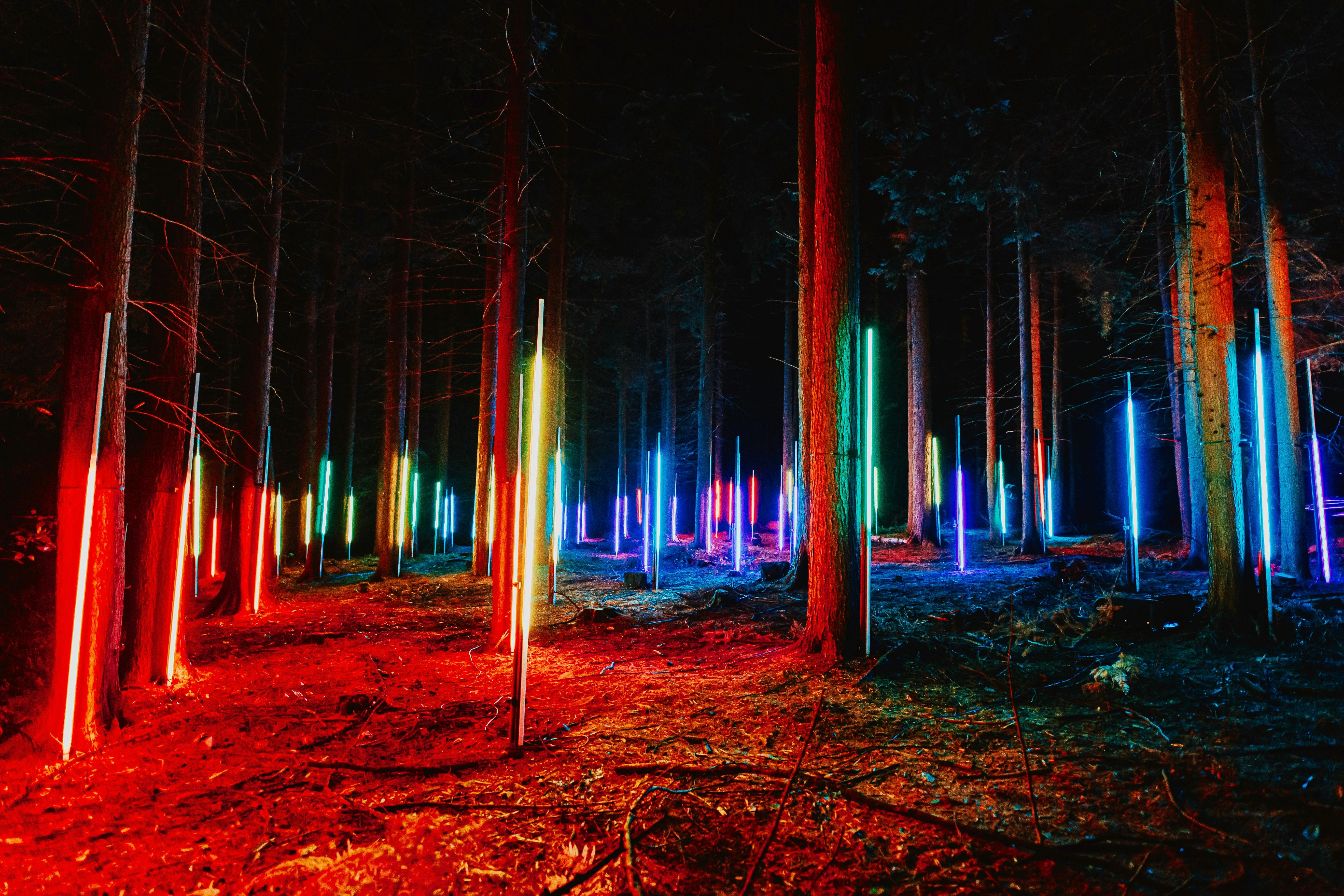 Lightfall at Royal Botanic Gardens Cranbourne