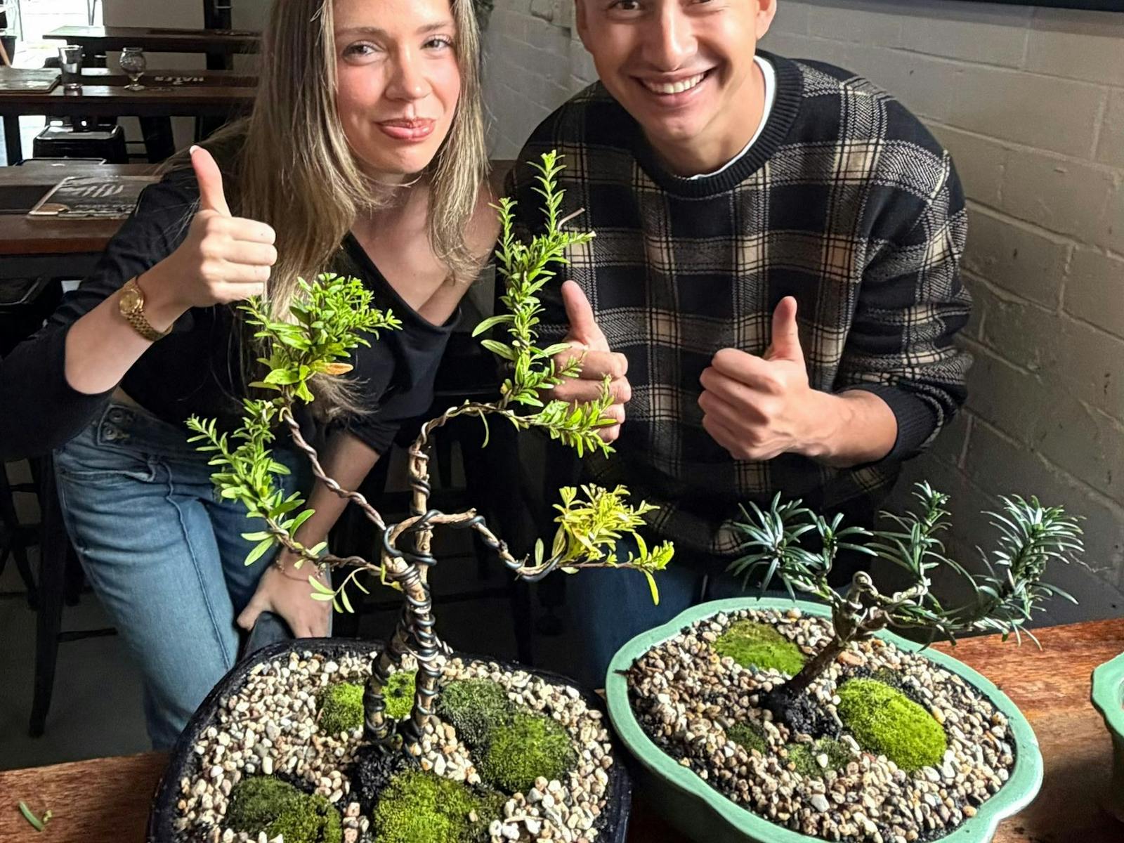 bonsai and brews finished bonsai