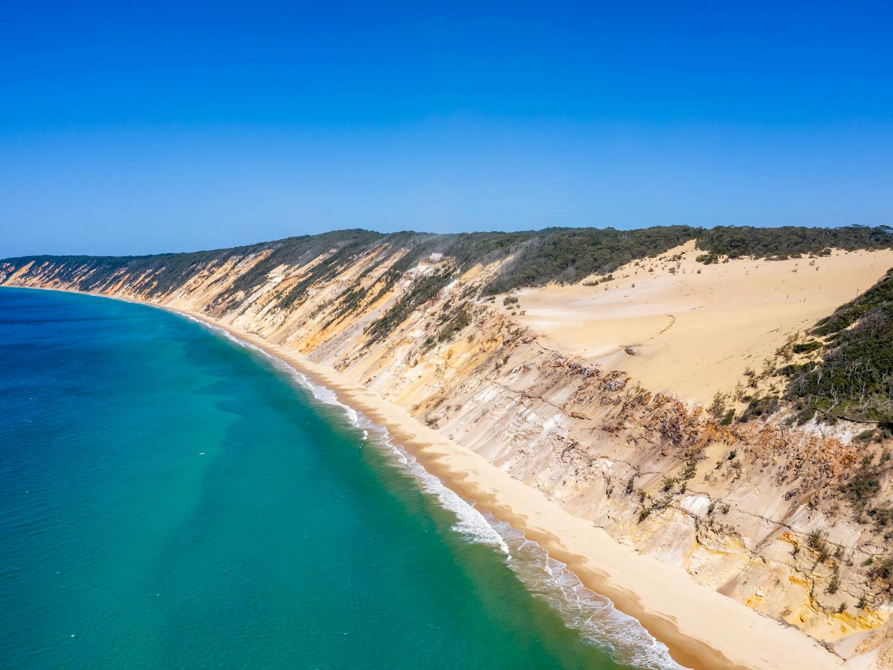 Carlo Sandblow Overview