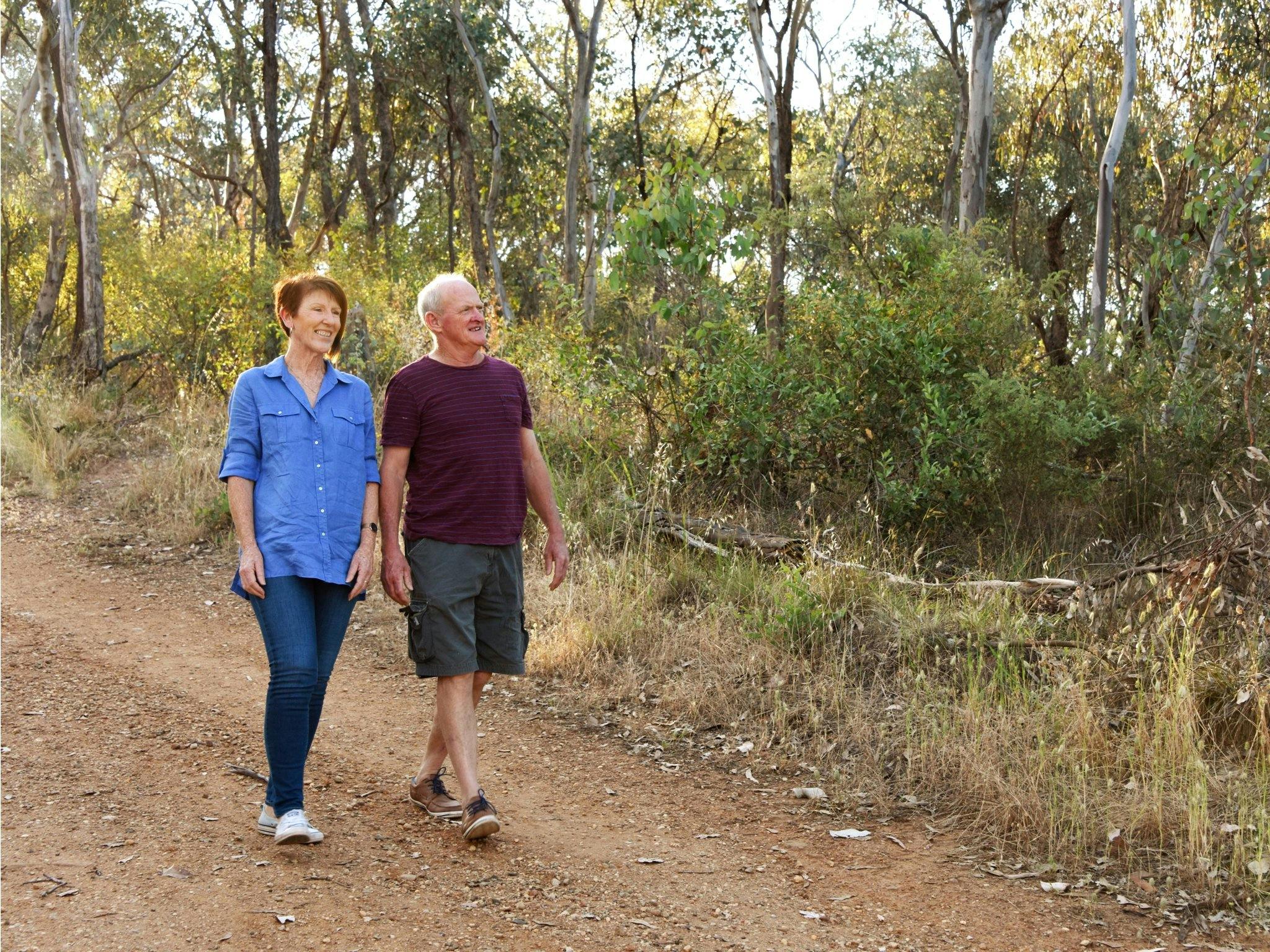 Nail Can Hill Walking Track