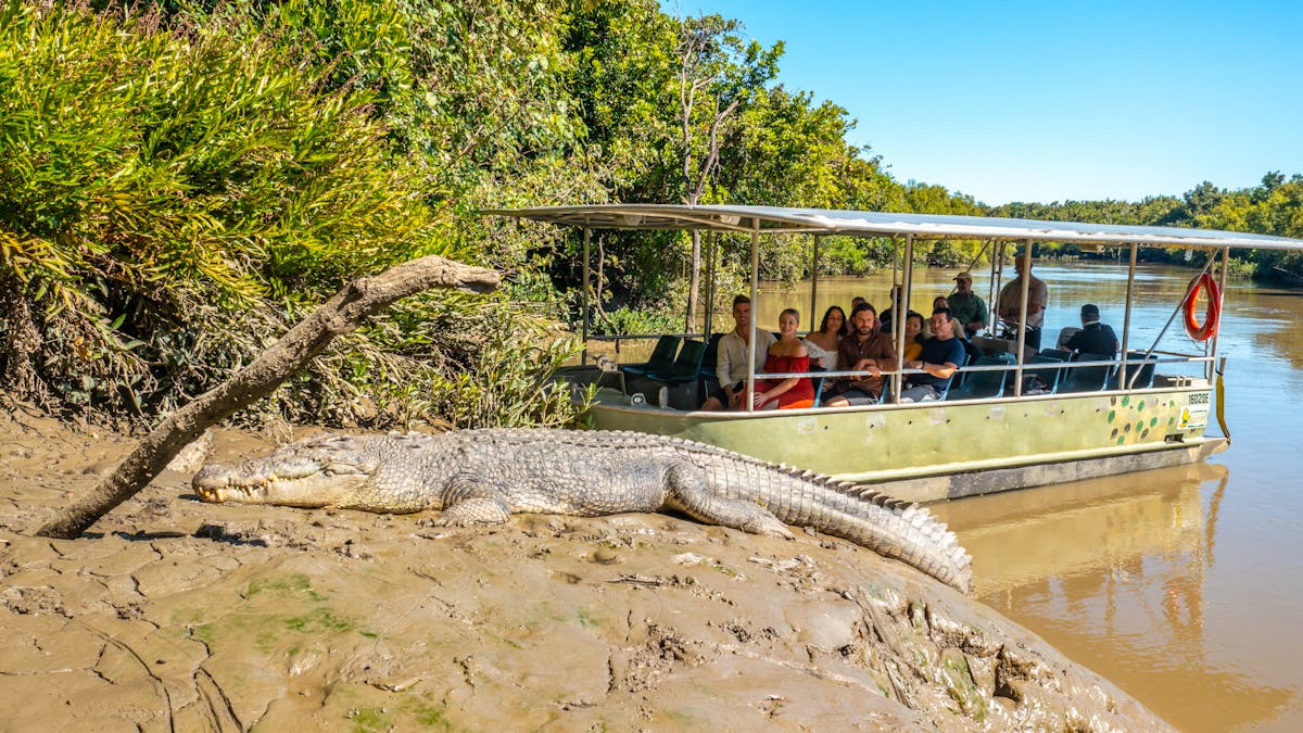 Croc Encounters Proserpine River