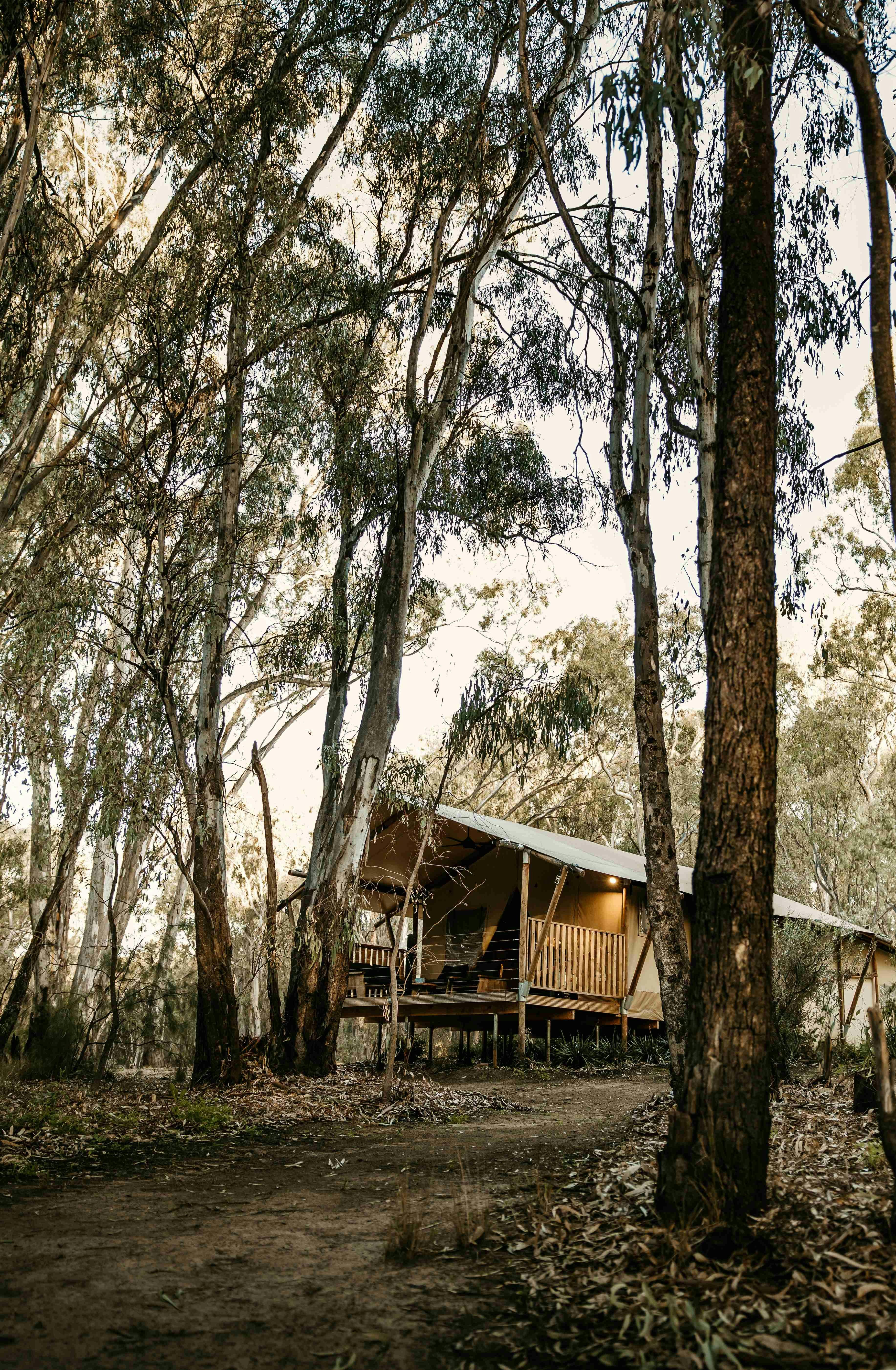 Koondrook Glamping Retreat through the trees