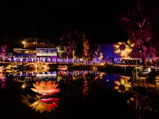 Projections, searchlights and a floating lotus light up the Wollundry Lagoon Precinct.