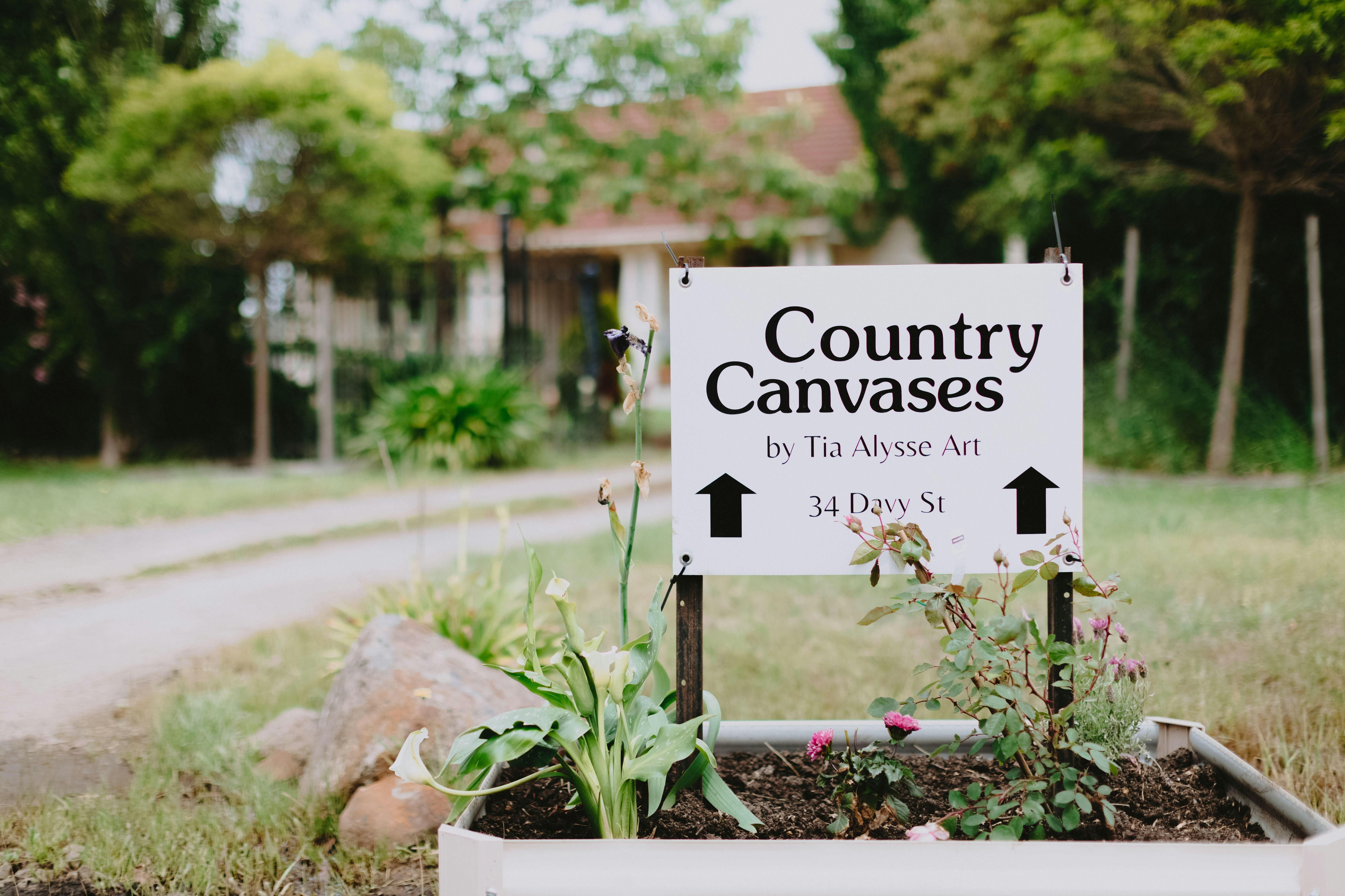 Country Canvases by Tia Alysse Art