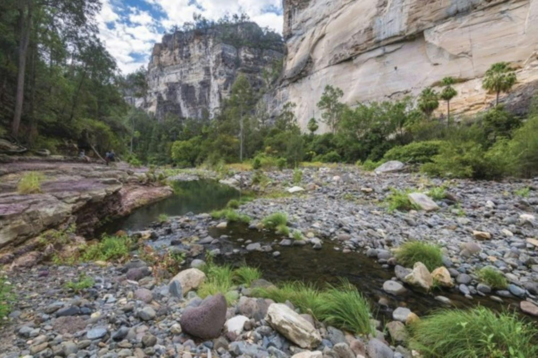 Carnarvon Gorge