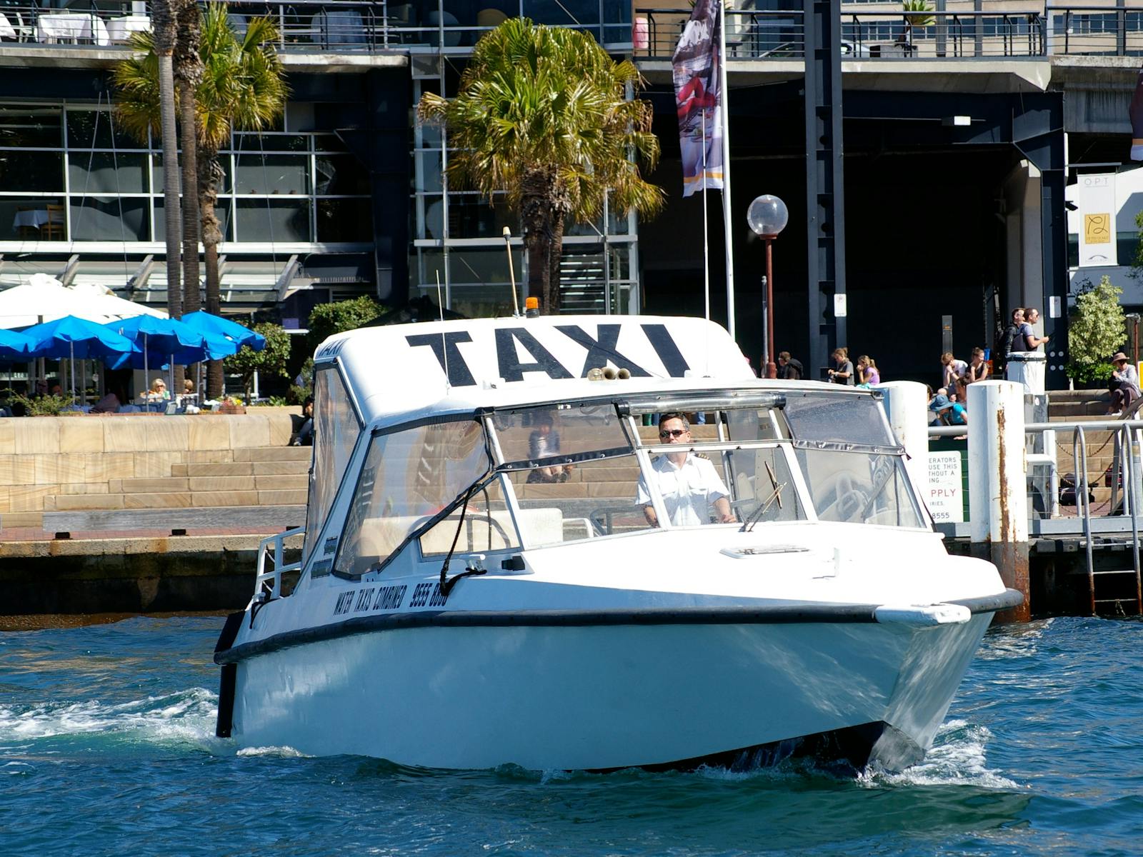 白水出租车 - 悉尼港