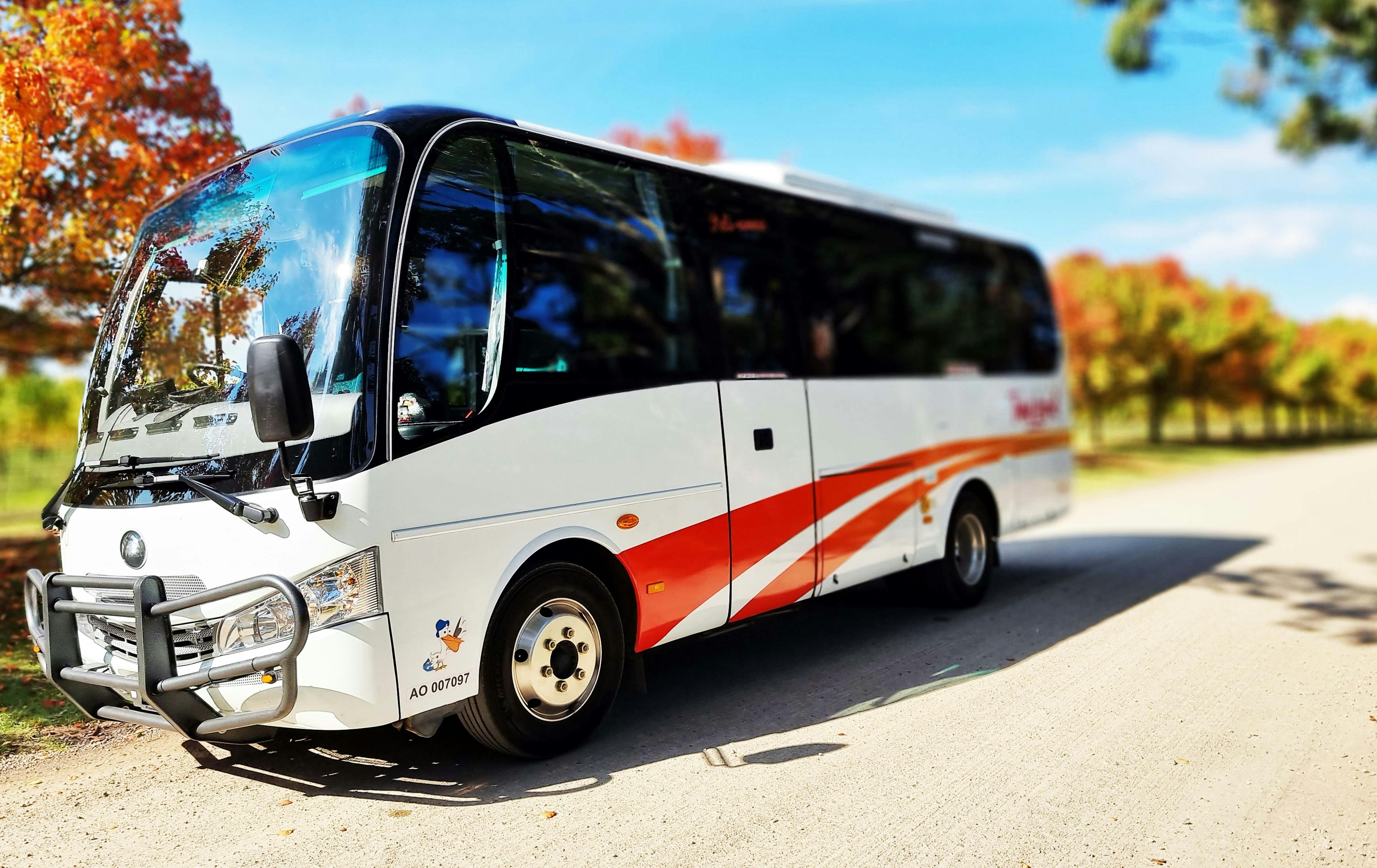 Tour Local Bus