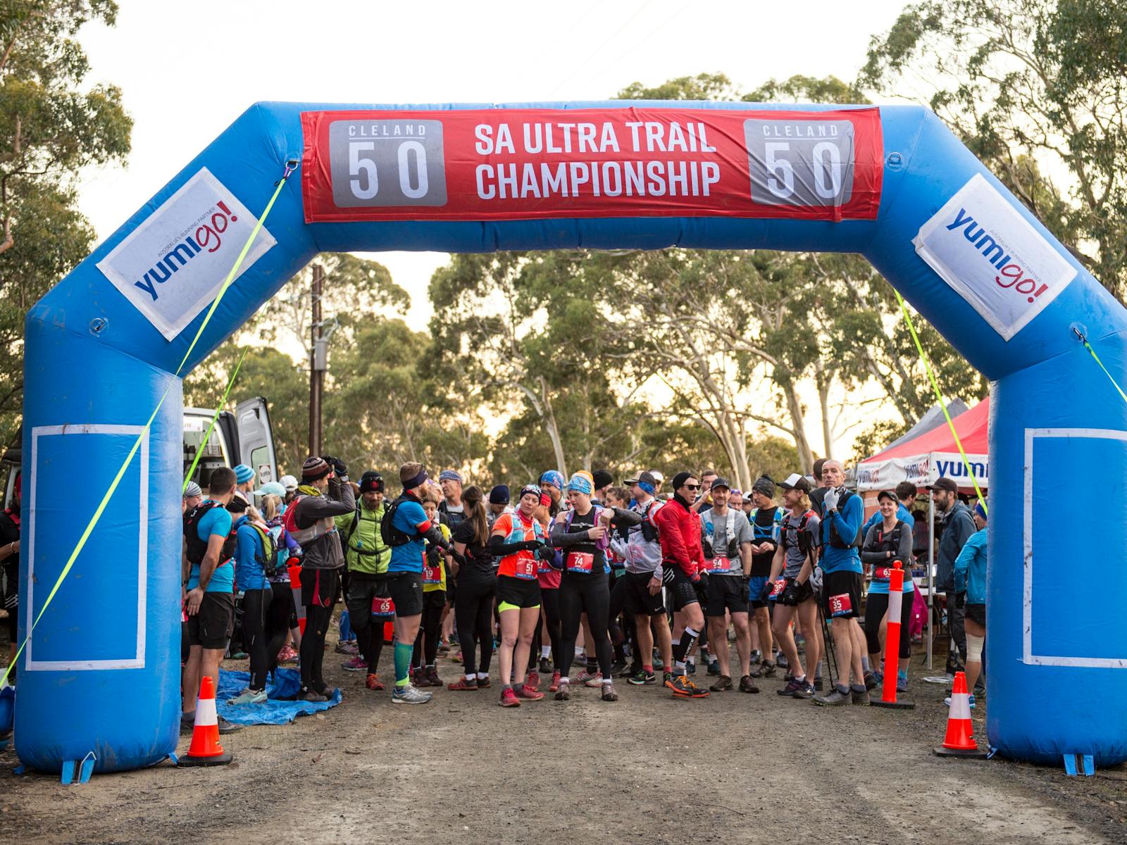 Image for Cleland 50