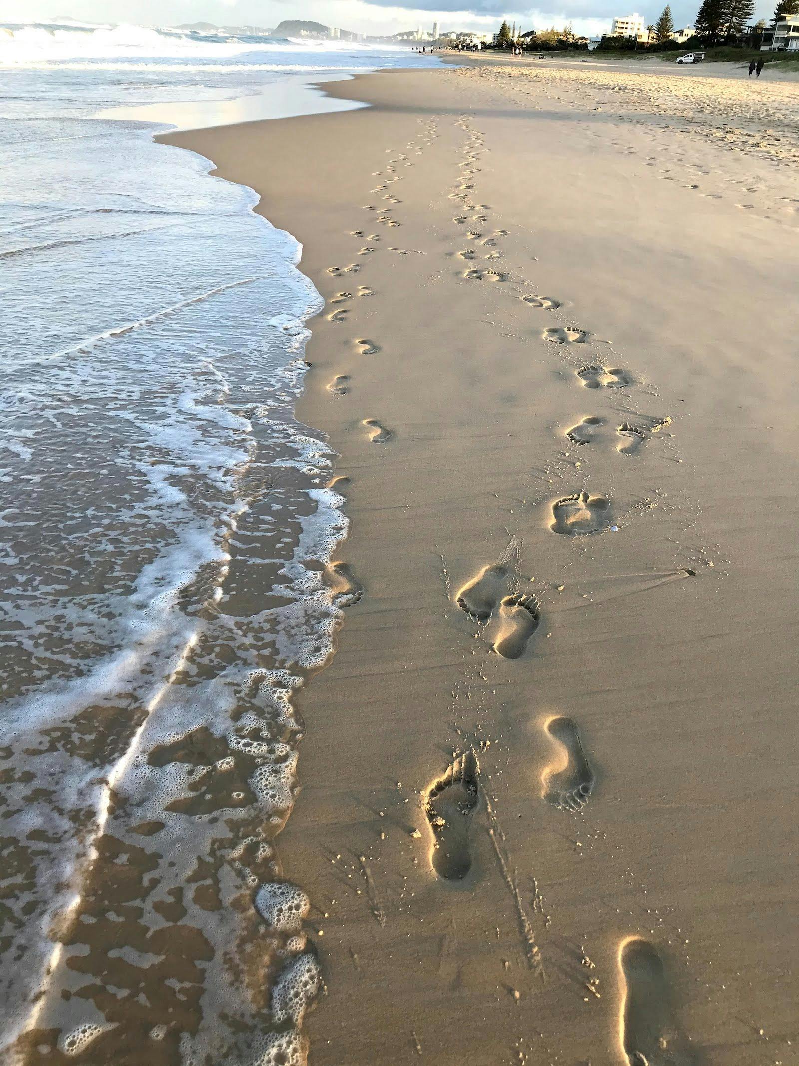 Trixity Trails Gold Coast