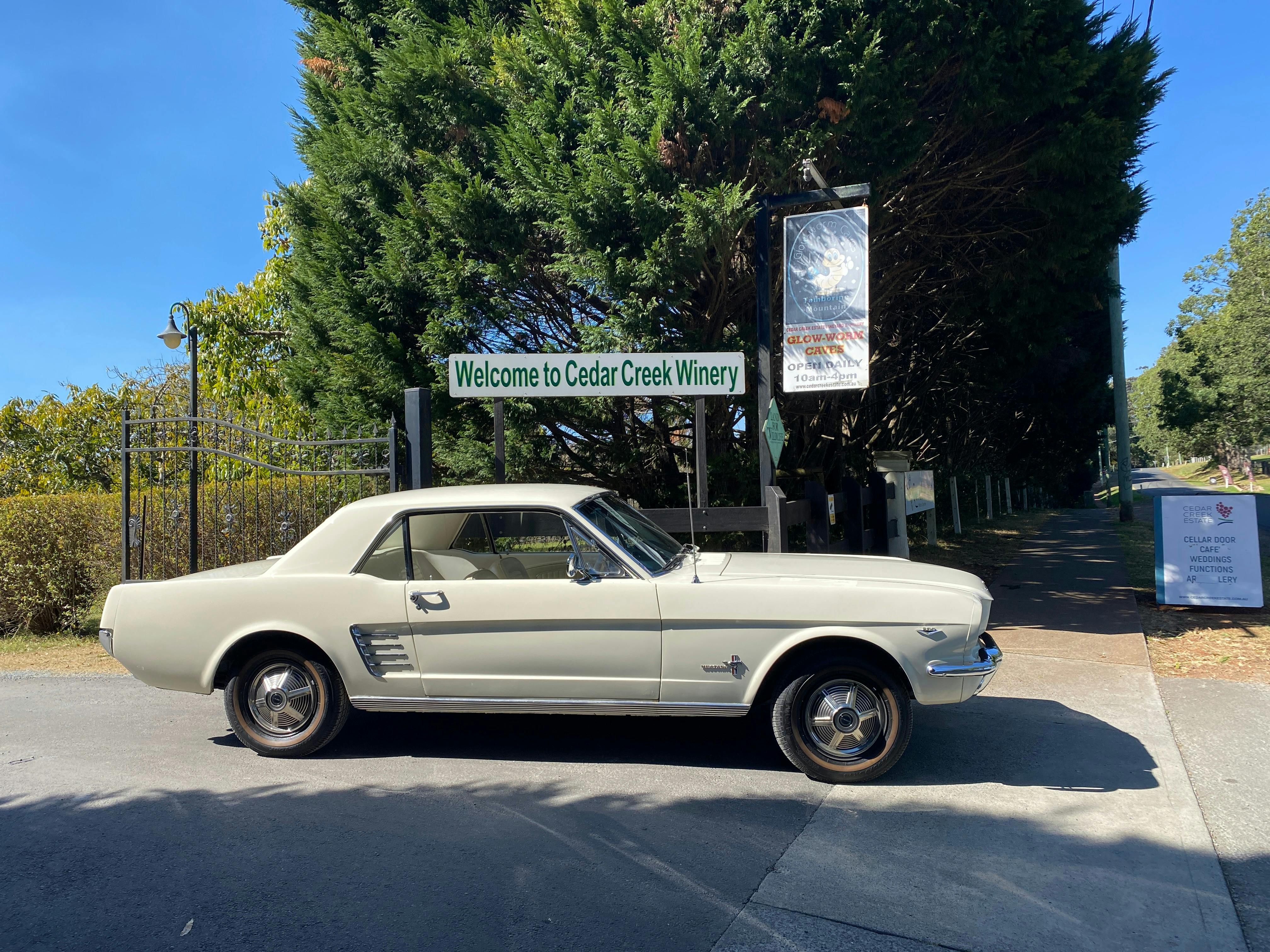 Winery cruise in a classic car