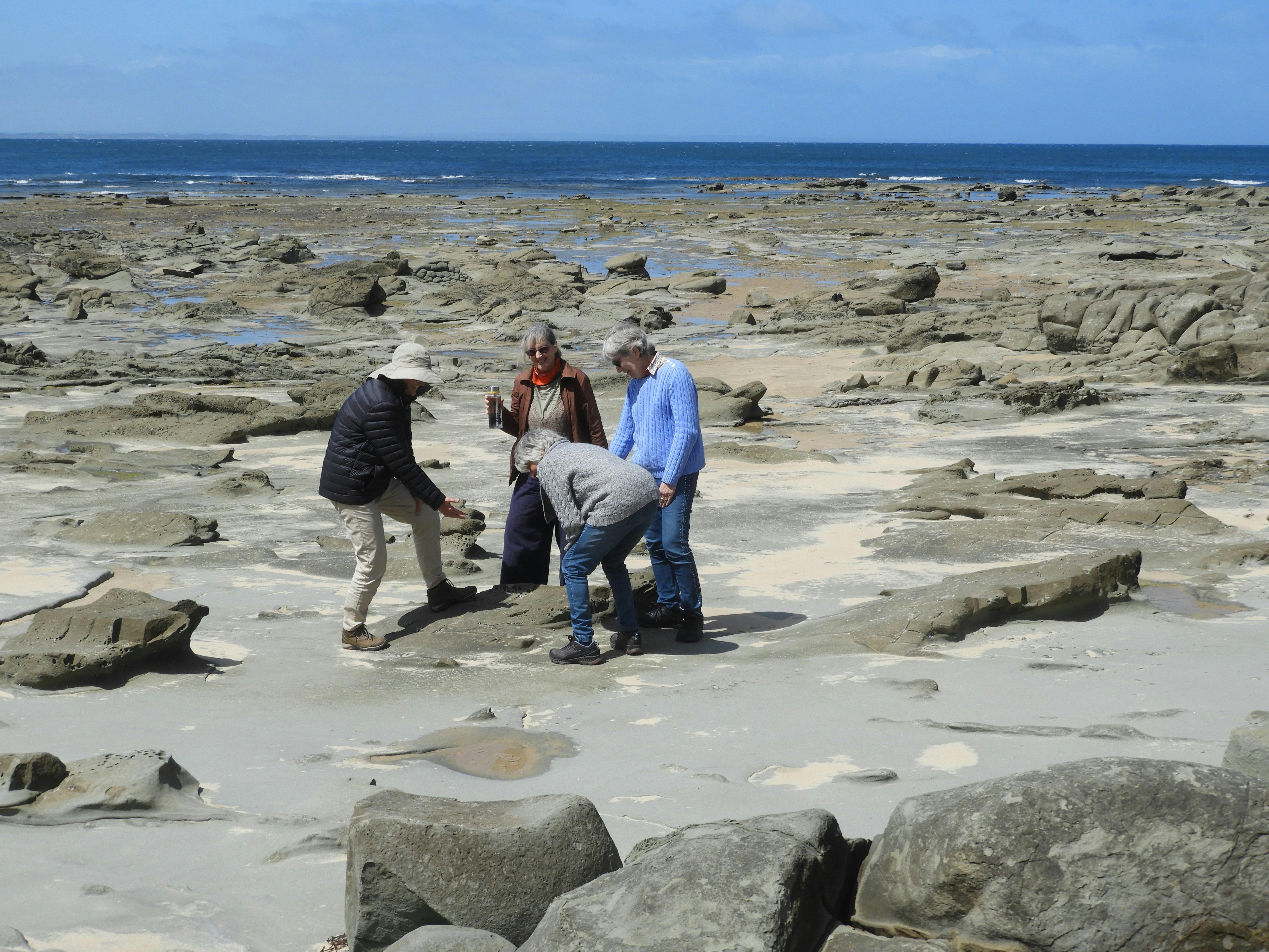 Inverloch Rock Platform