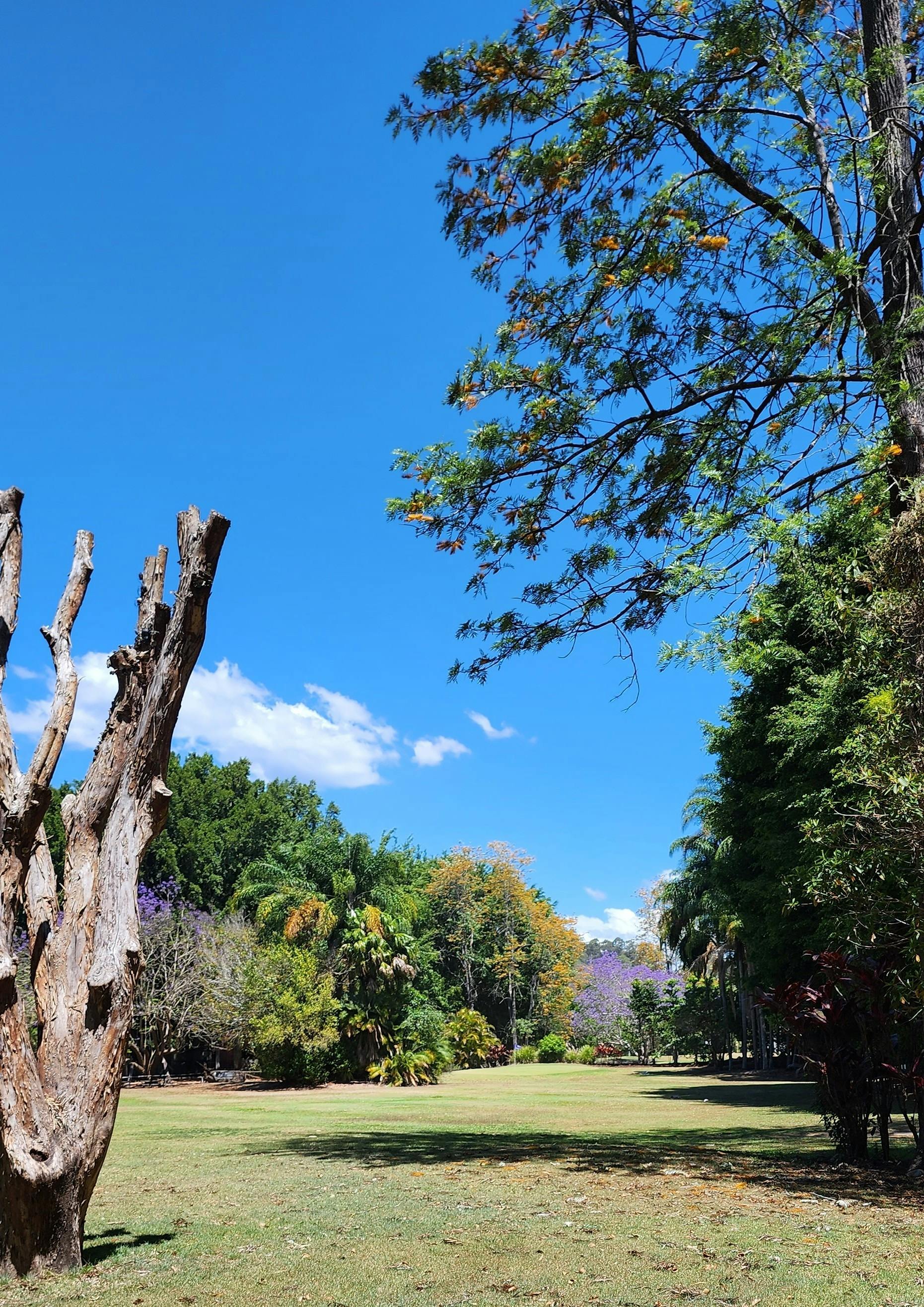 Boomerang Farm Golf Course